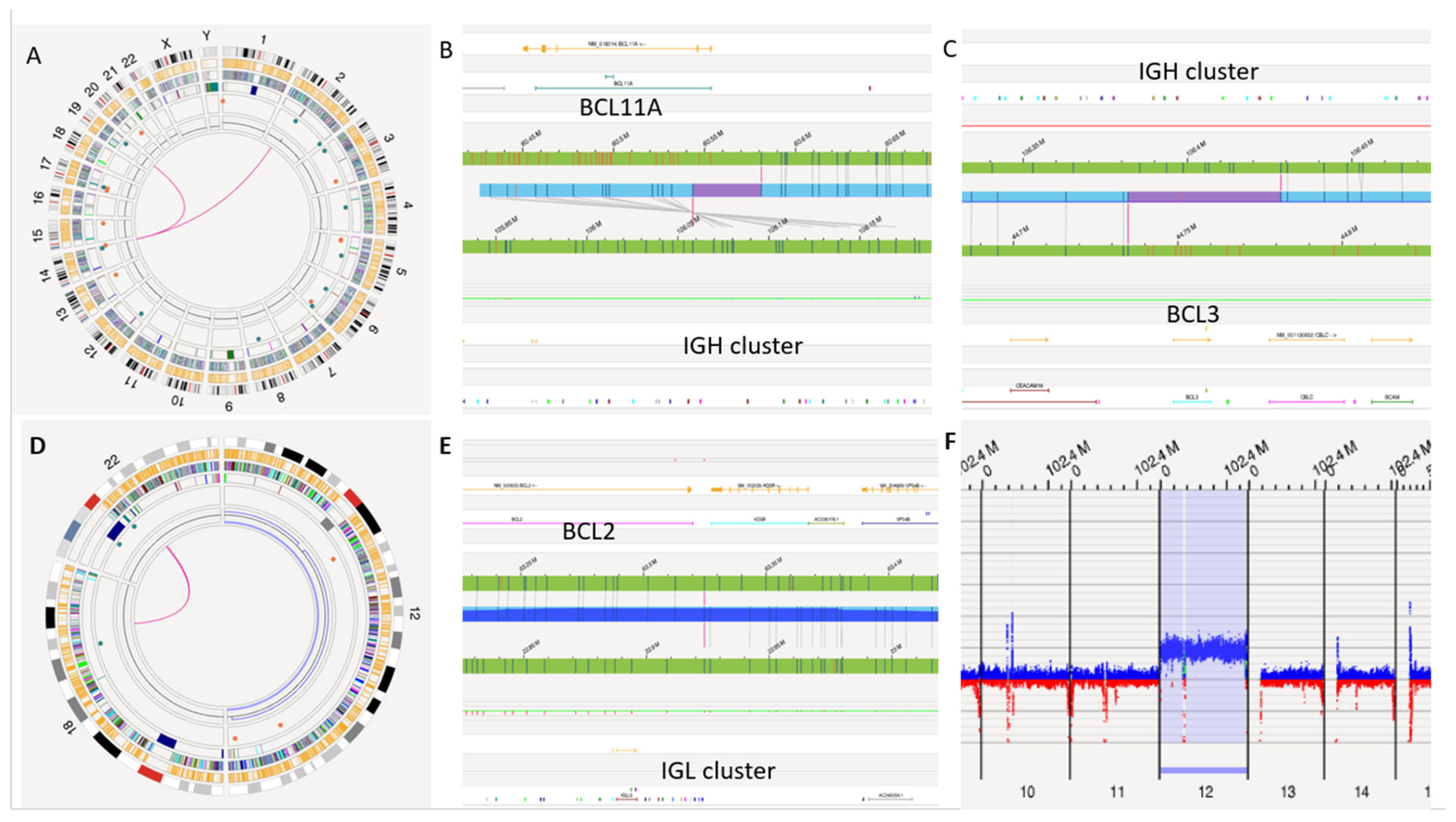 Genes 17 00106 g003