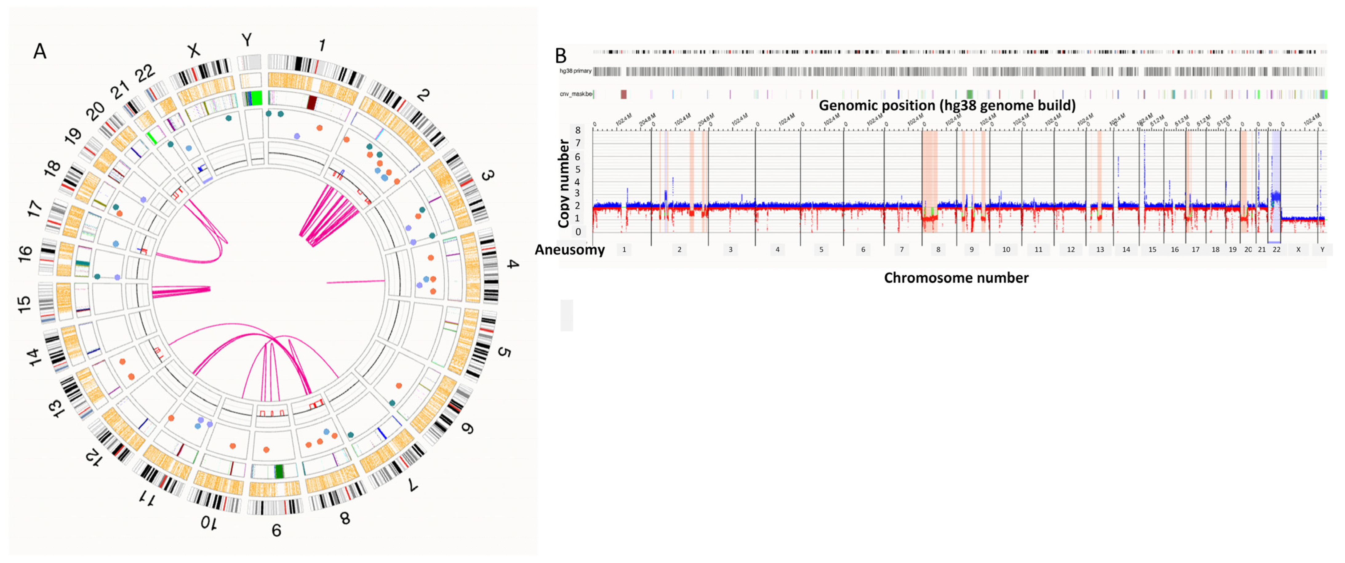 Genes 17 00106 g004