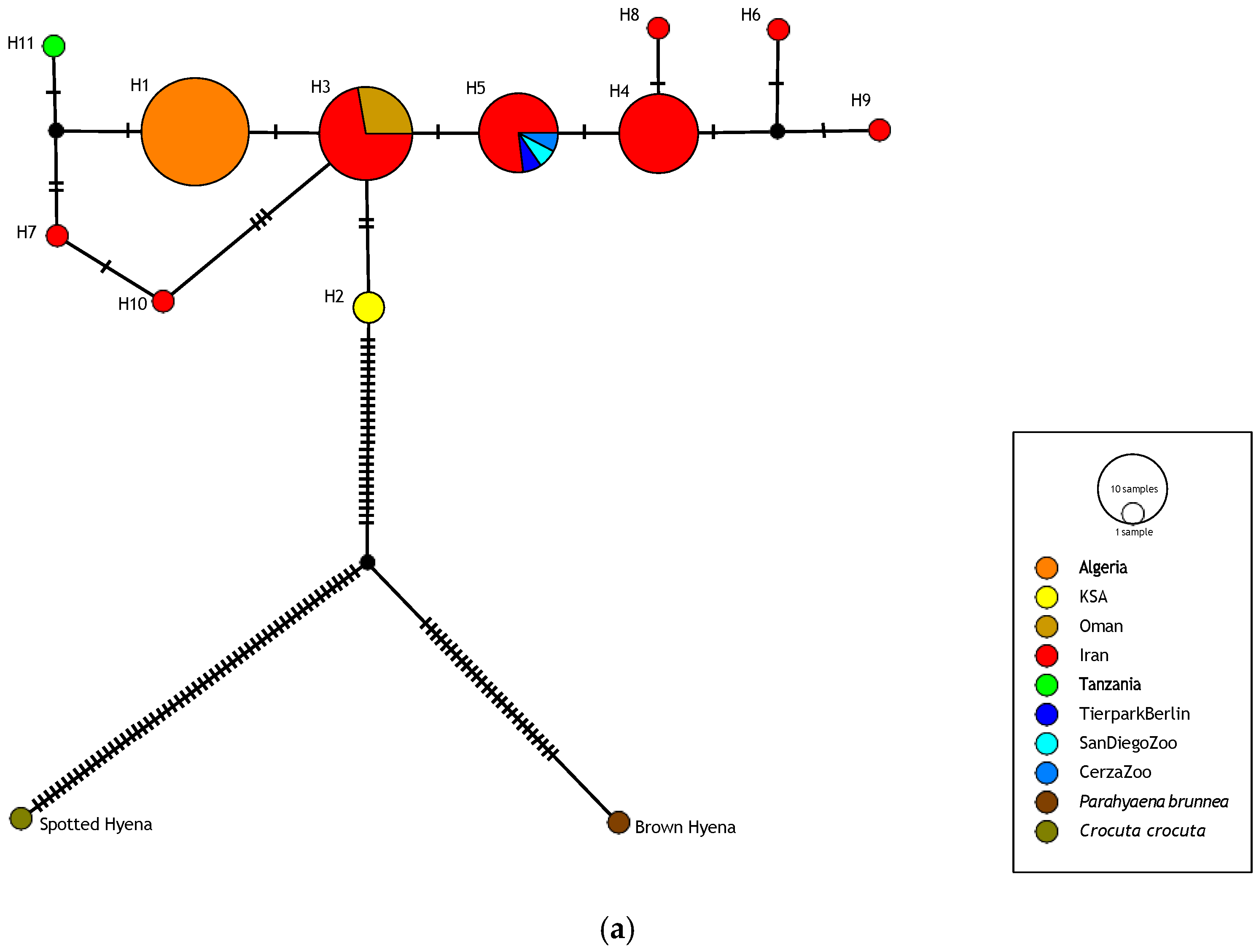Genes 17 00111 g002a Genes 17 00111 g002a
