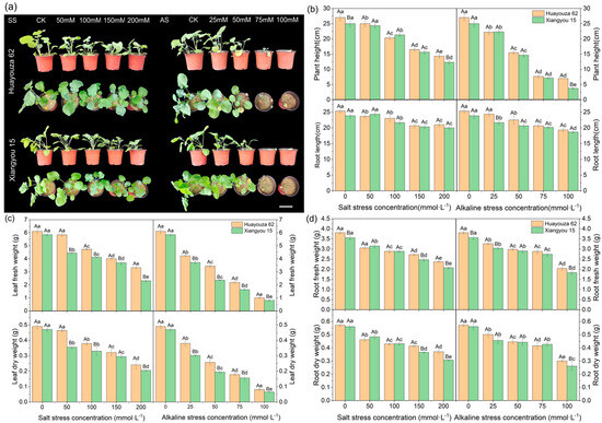 Integrated Physiological and Multi-Omics Analyses Reveal the