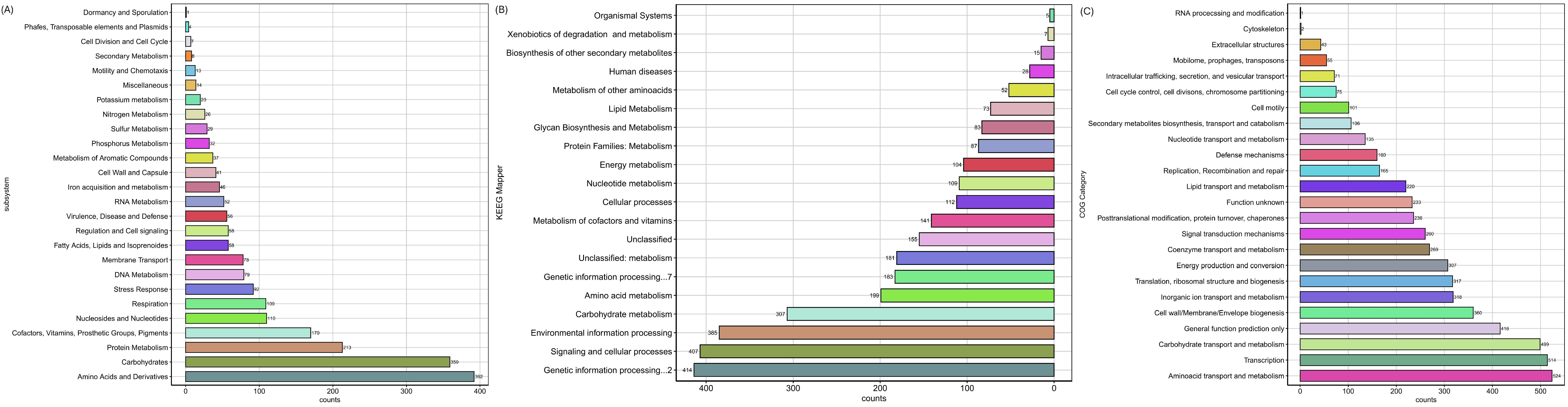 Genes 17 00169 g002