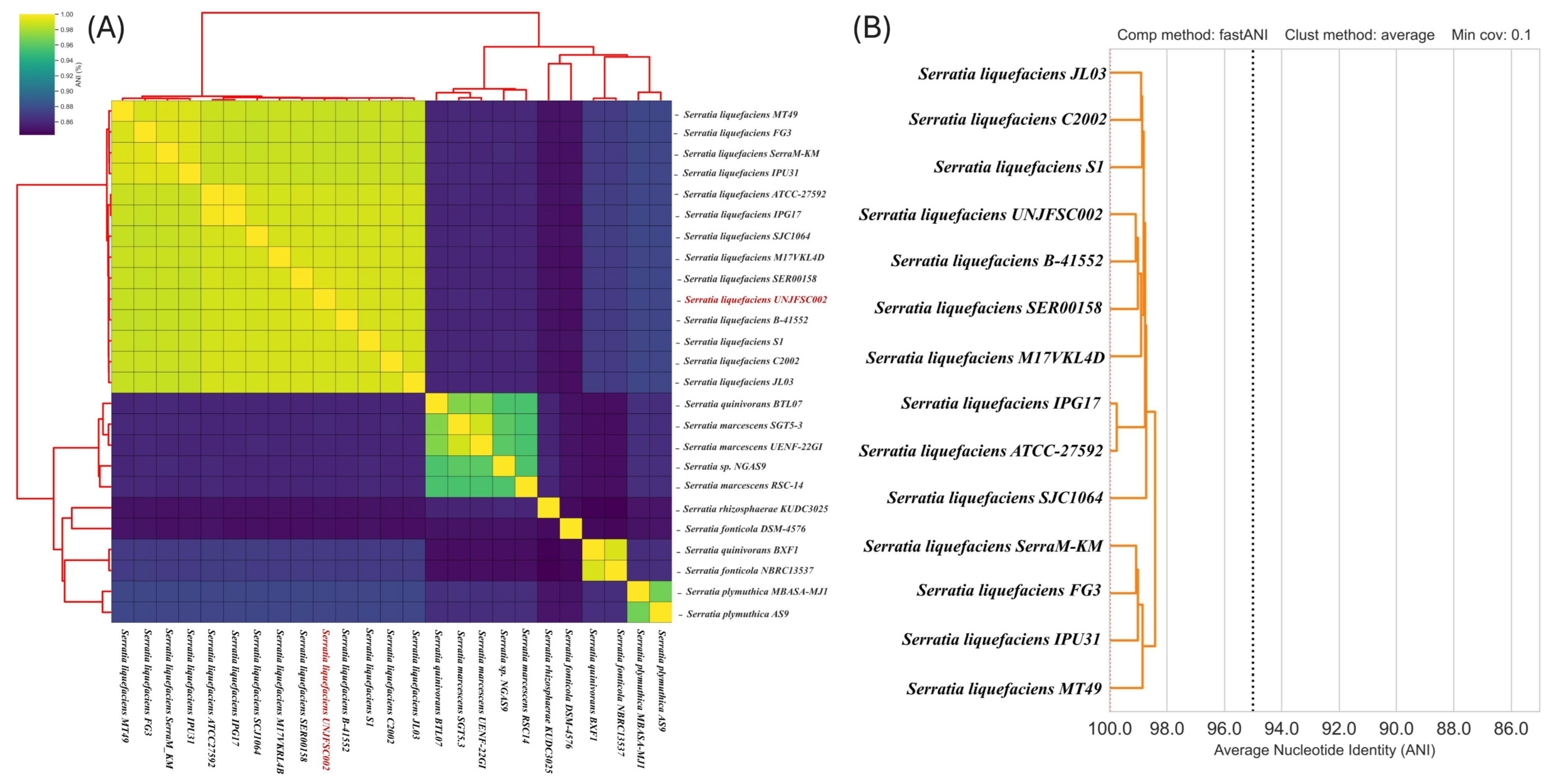 Genes 17 00169 g003