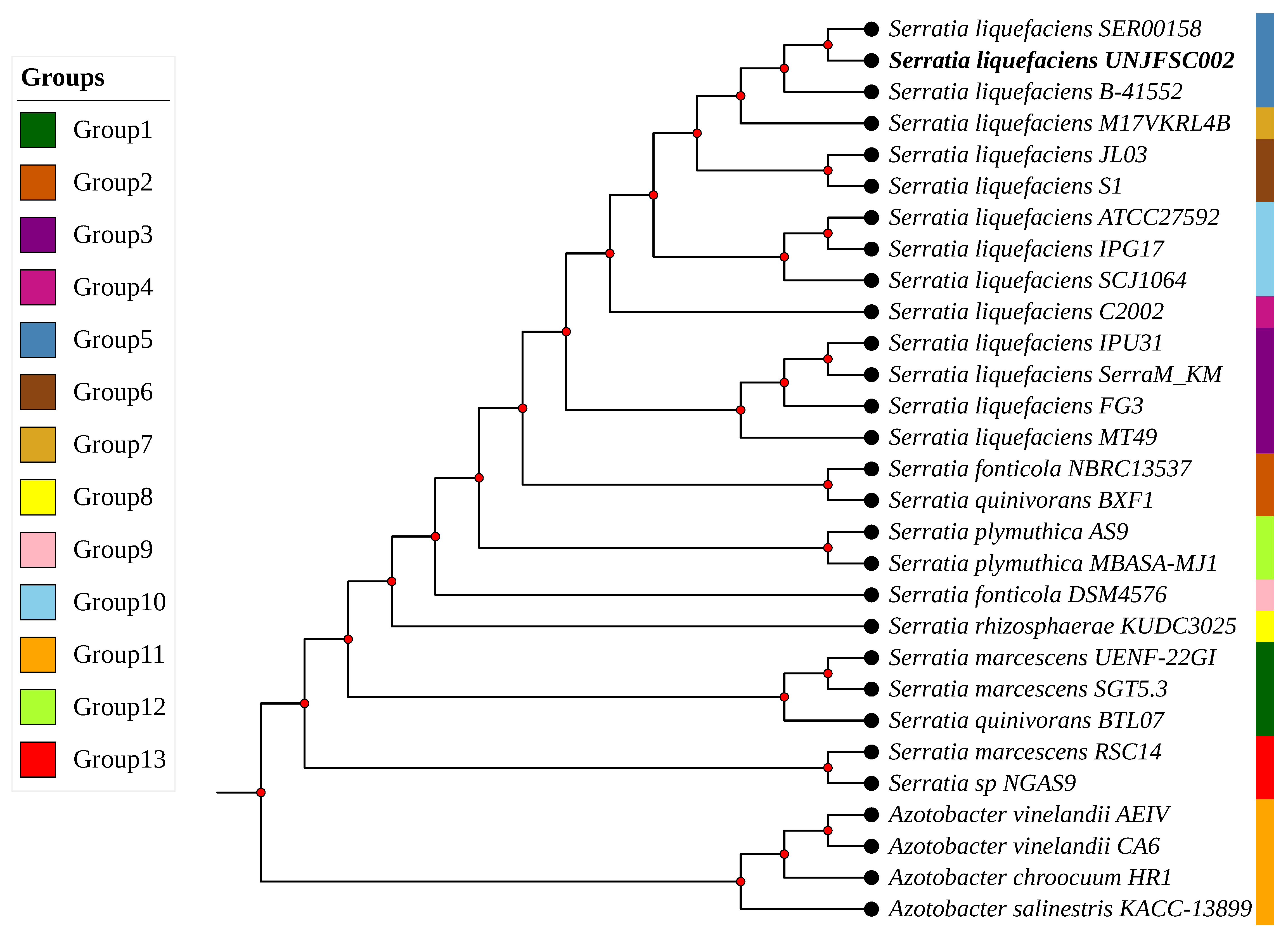 Genes 17 00169 g004
