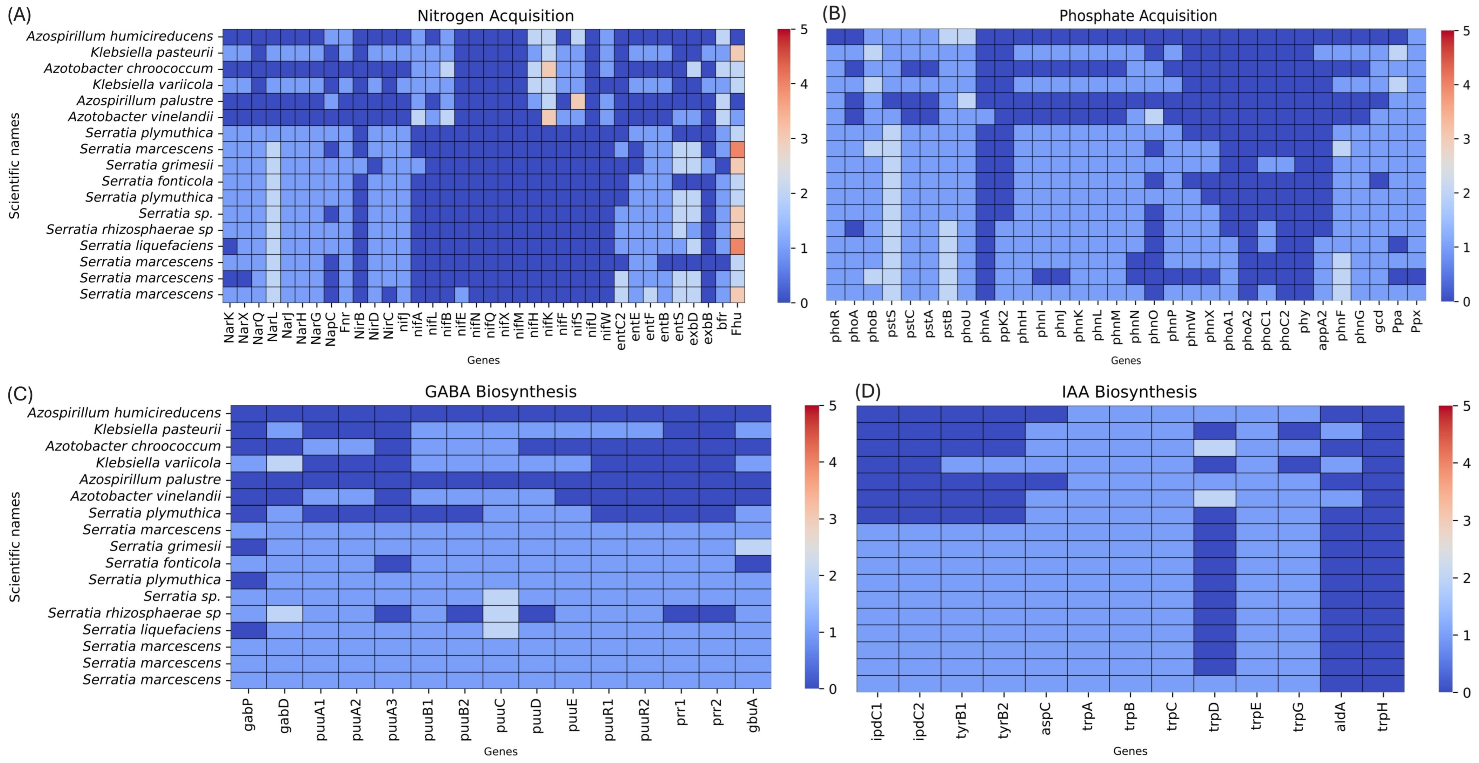 Genes 17 00169 g006
