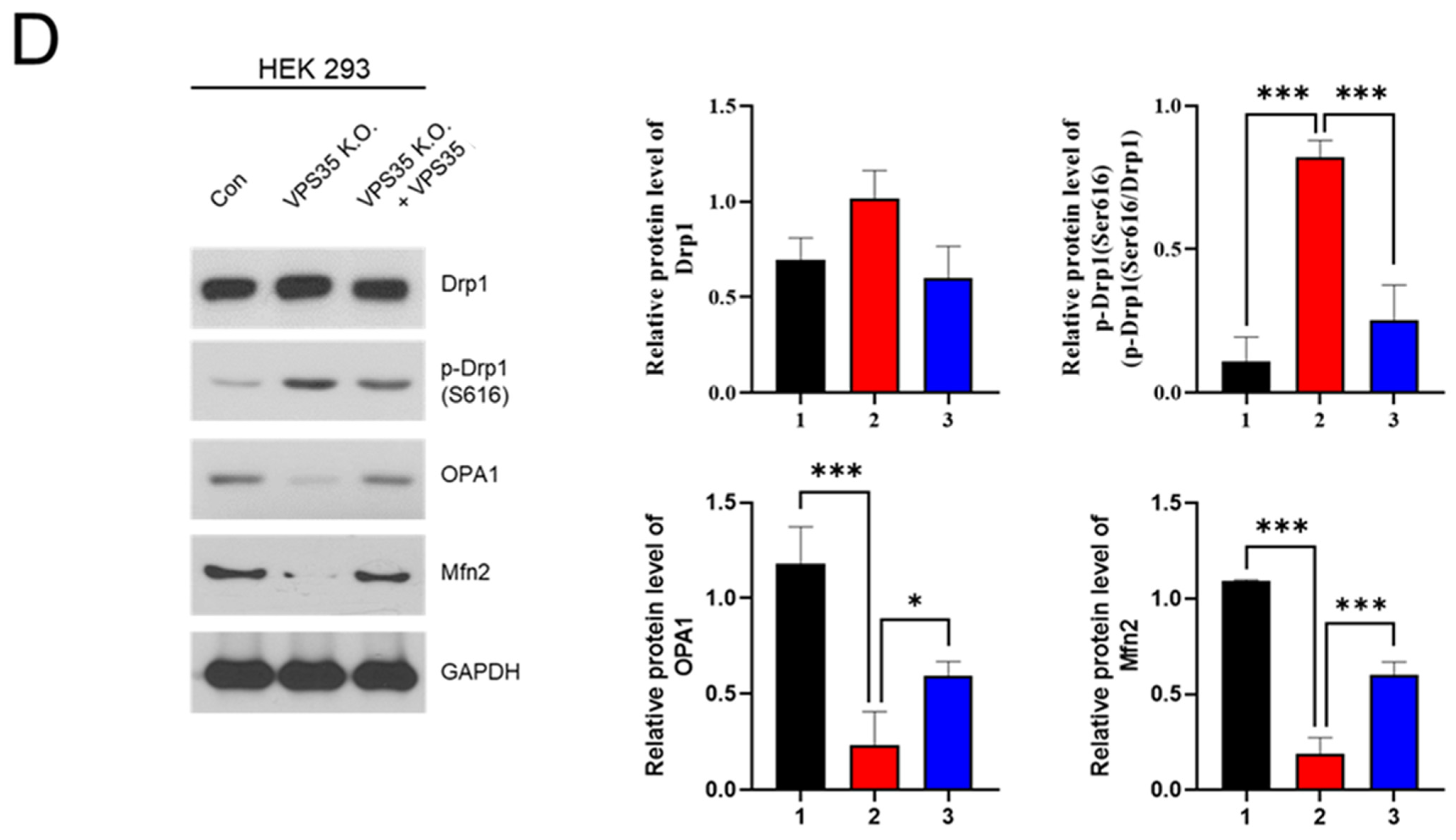 Genes 17 00177 g007b