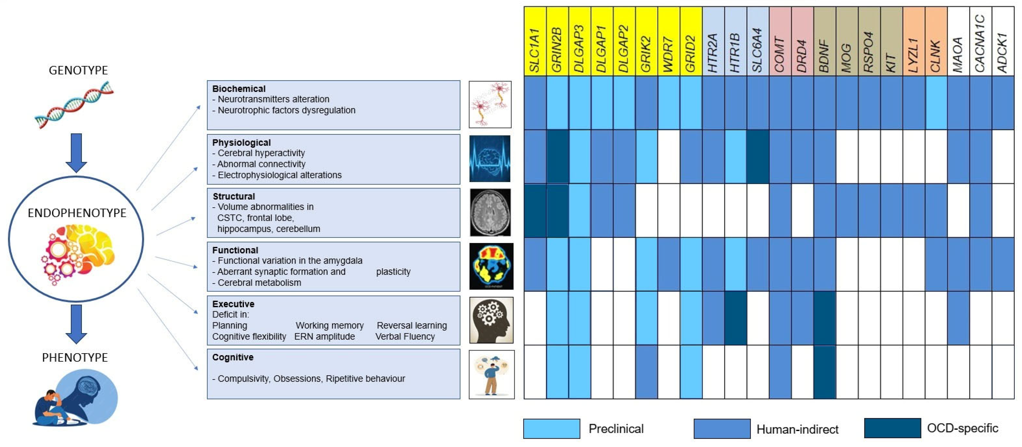 Genes 17 00189 g001