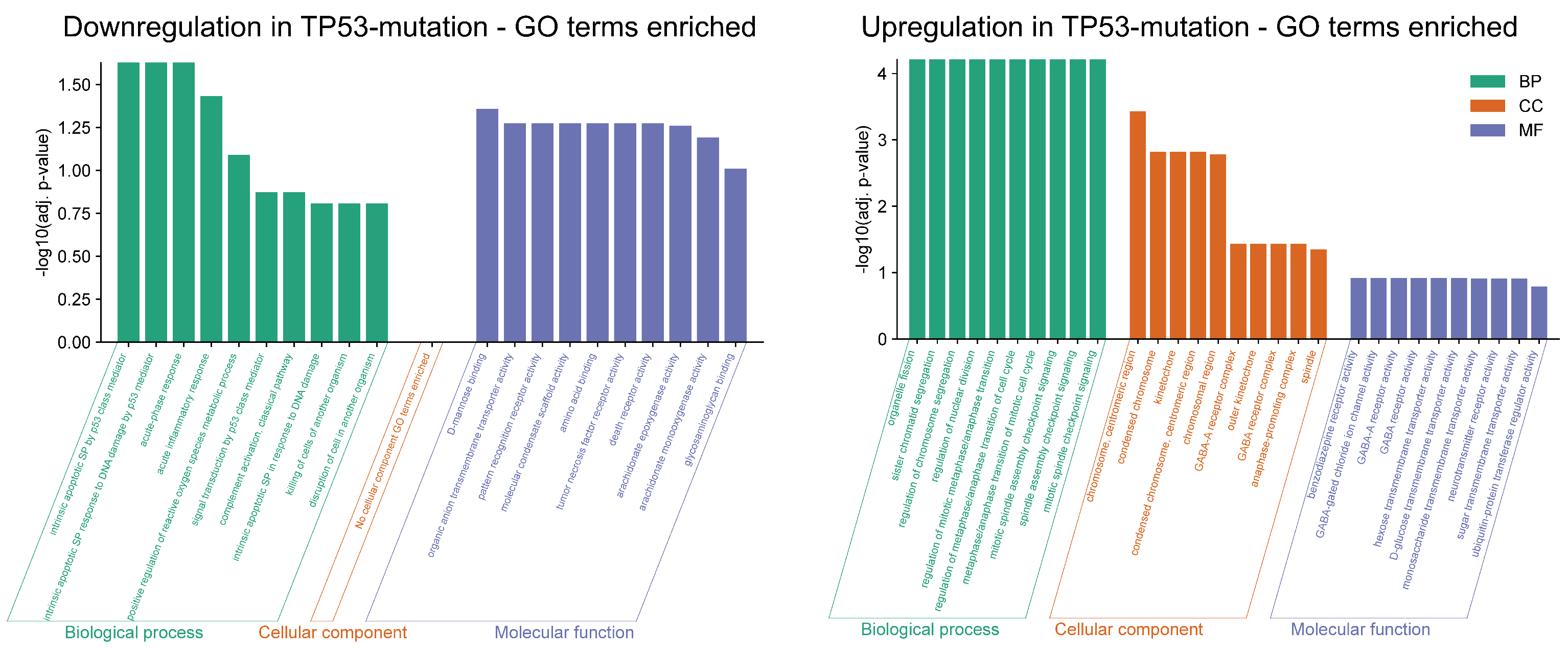 Genes 17 00190 g003