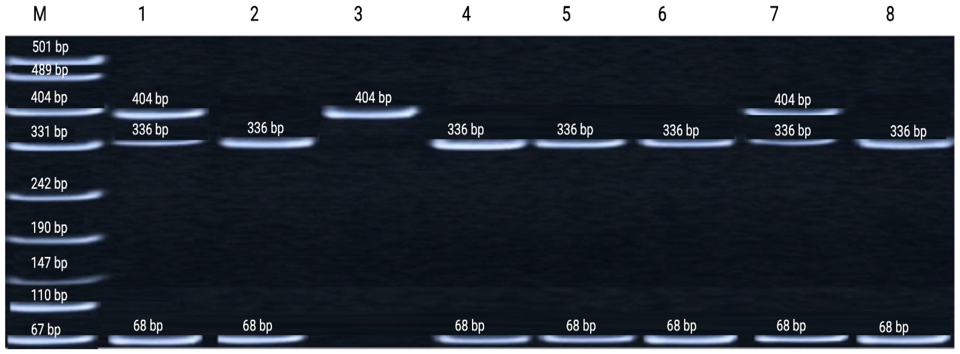Genes 17 00191 g002