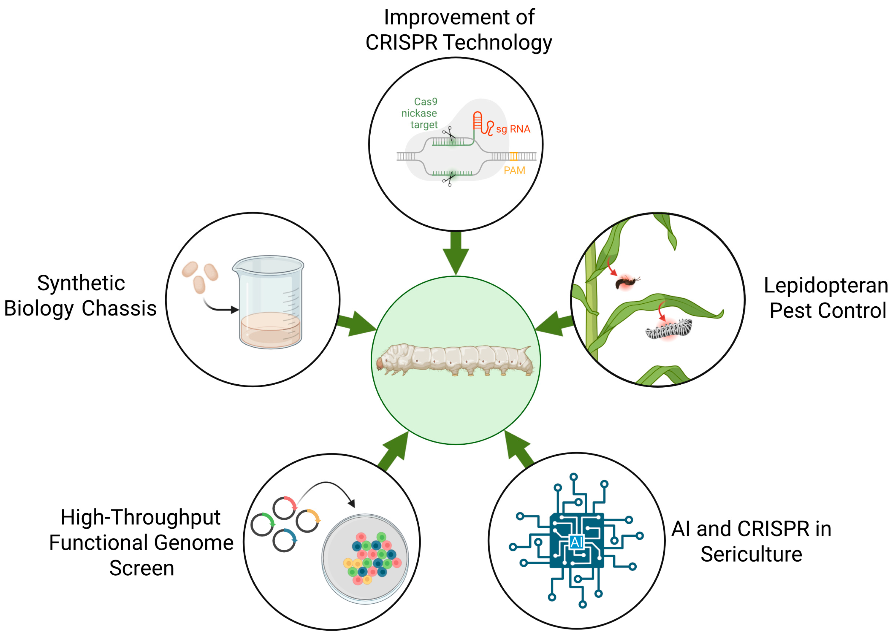 Genes 17 00230 g002