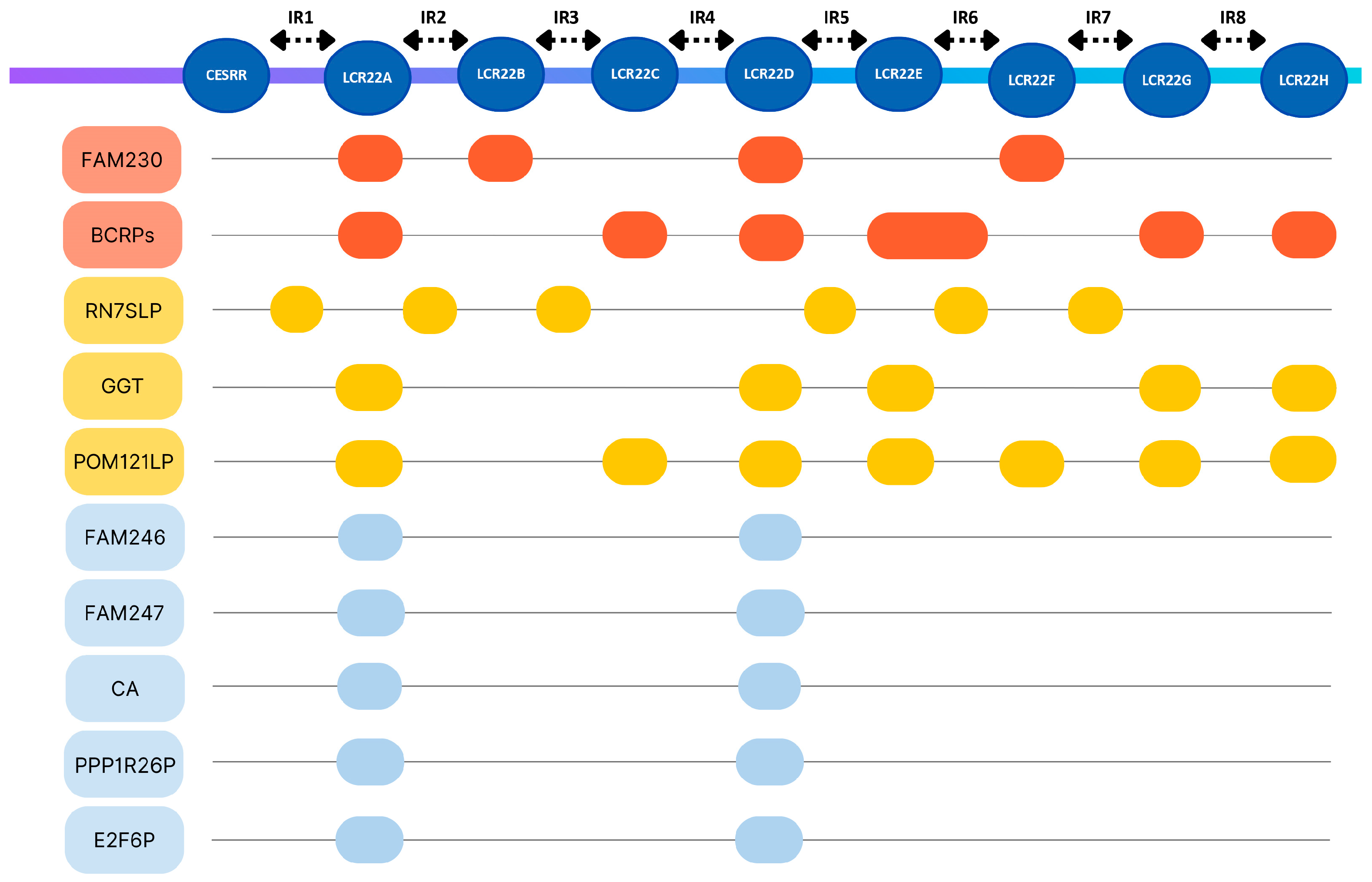 Genes 17 00248 g005 Genes 17 00248 g005