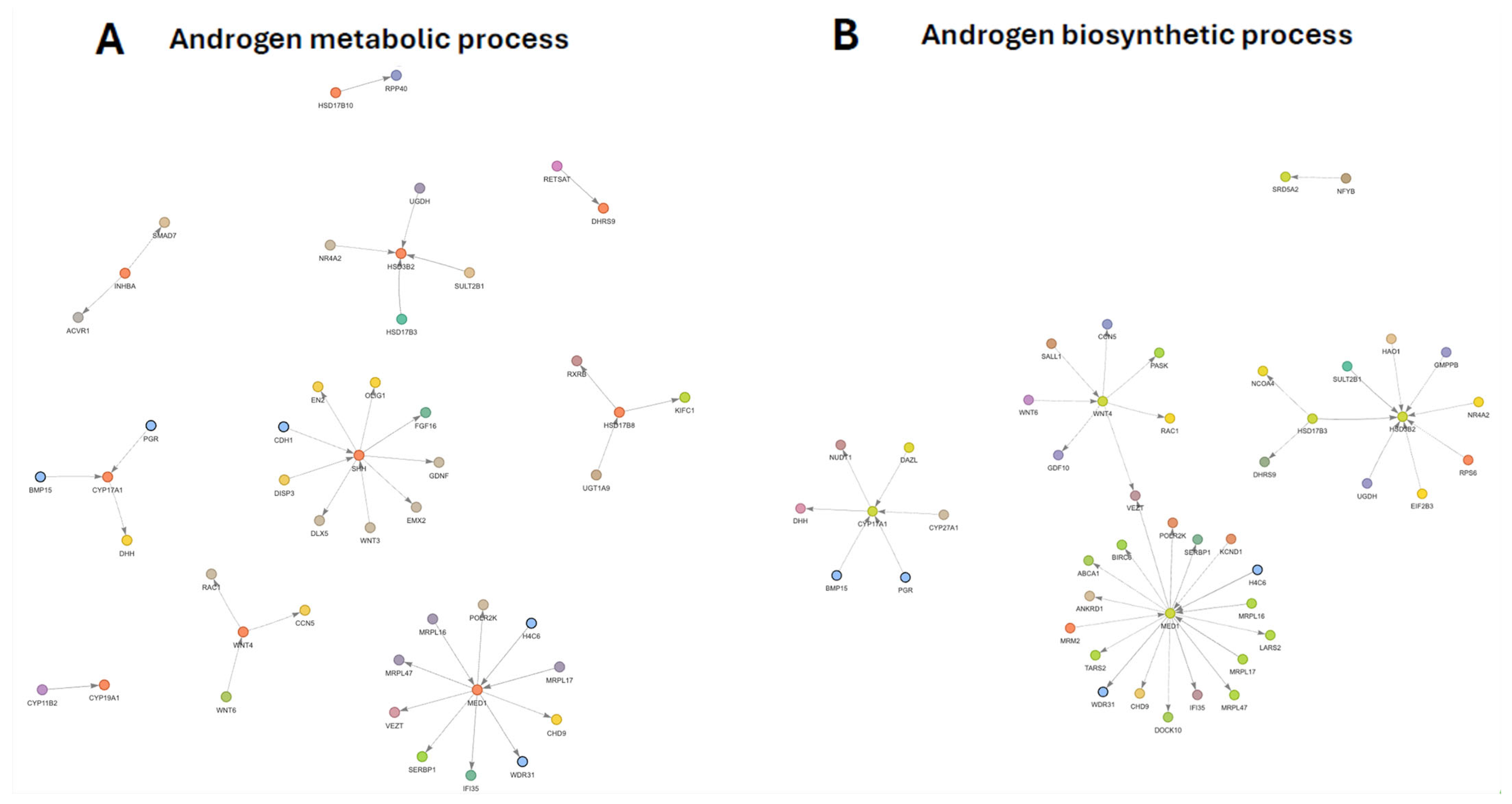 Genes 17 00257 g005