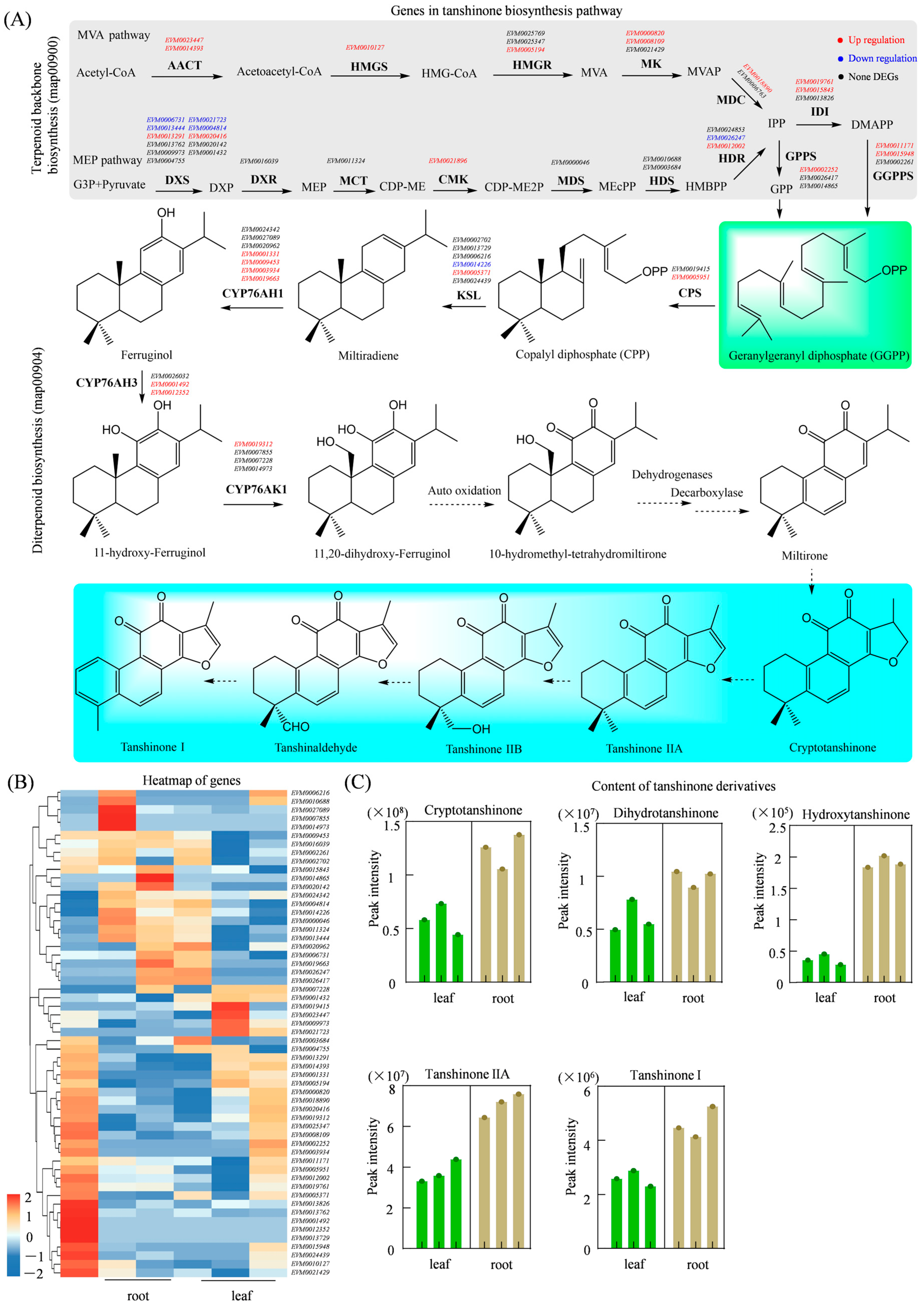 Genes 17 00280 g007 Genes 17 00280 g007