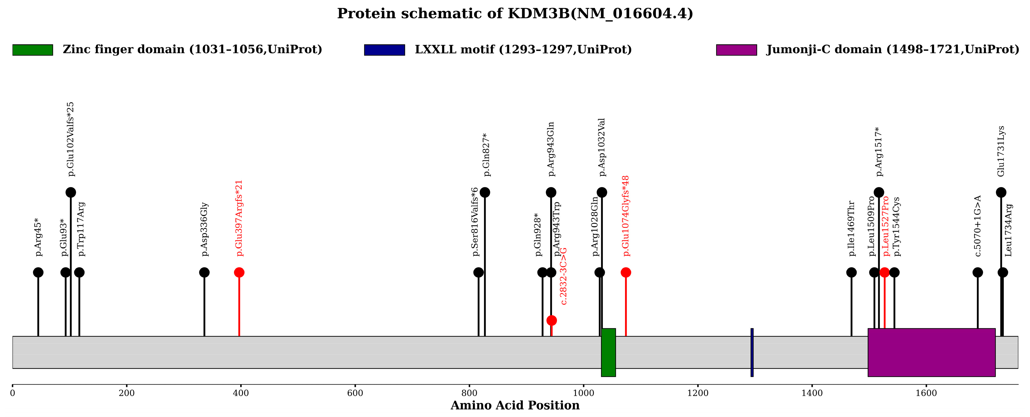 Genes 17 00294 g003
