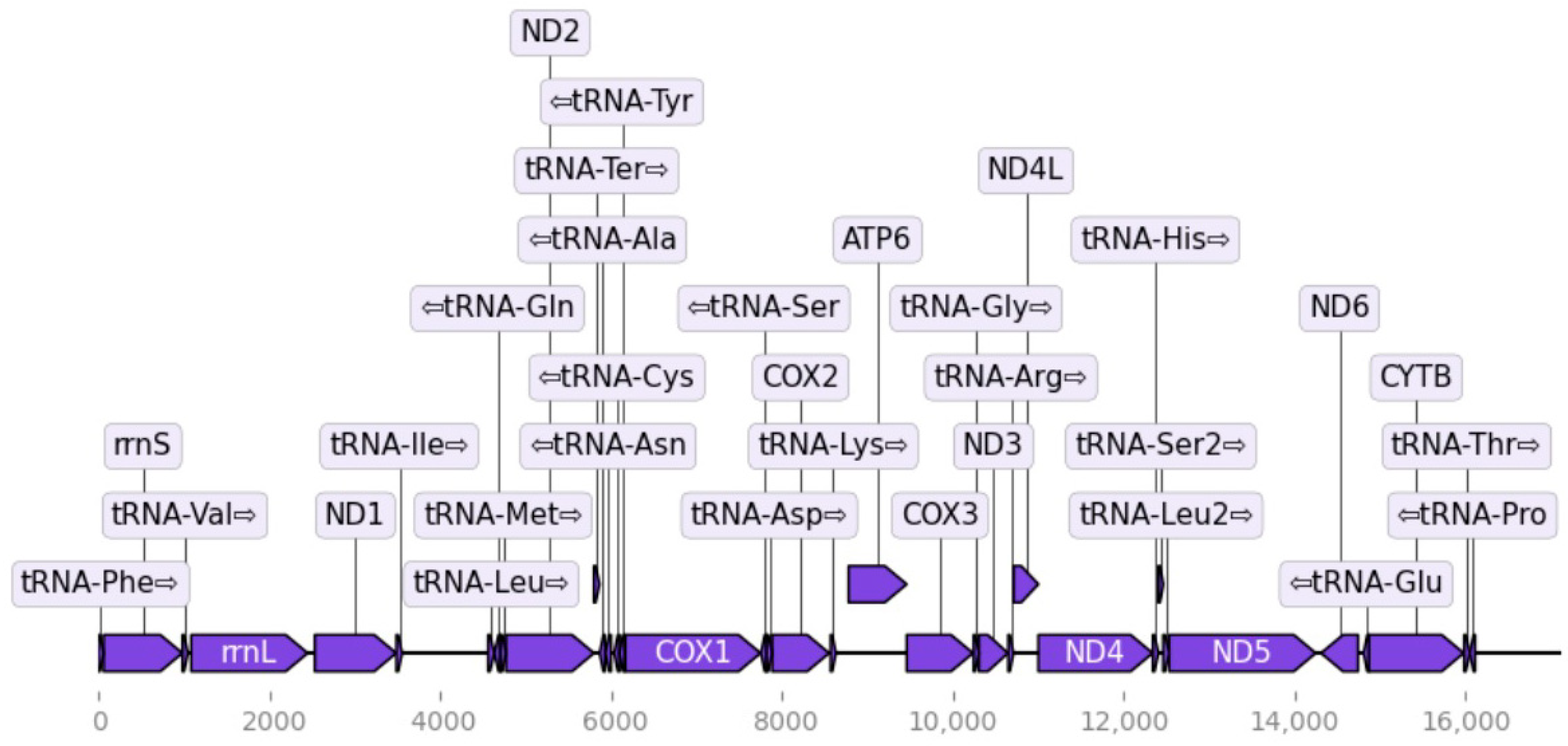 Genes 17 00307 g003