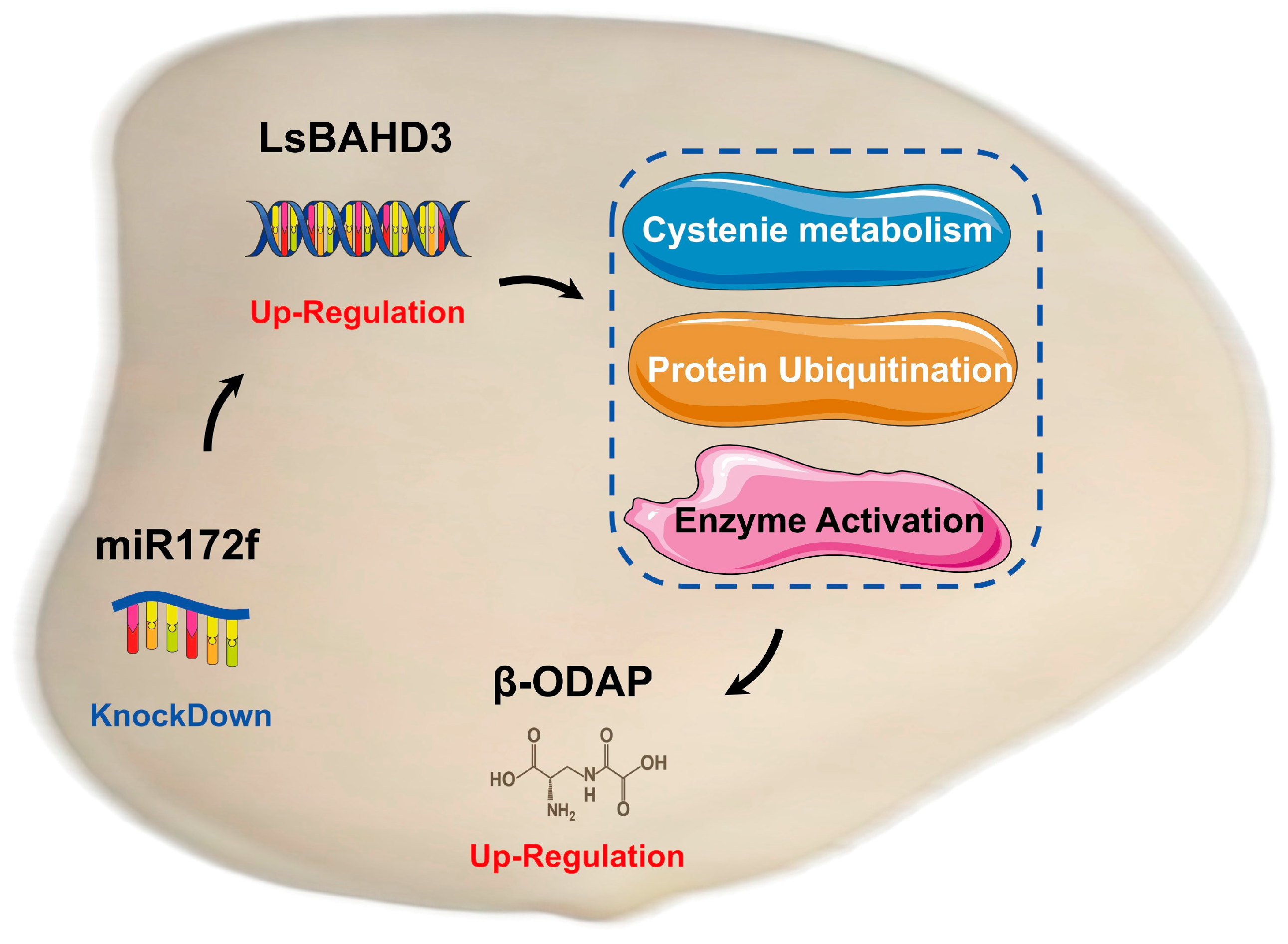 Genes 17 00311 g007