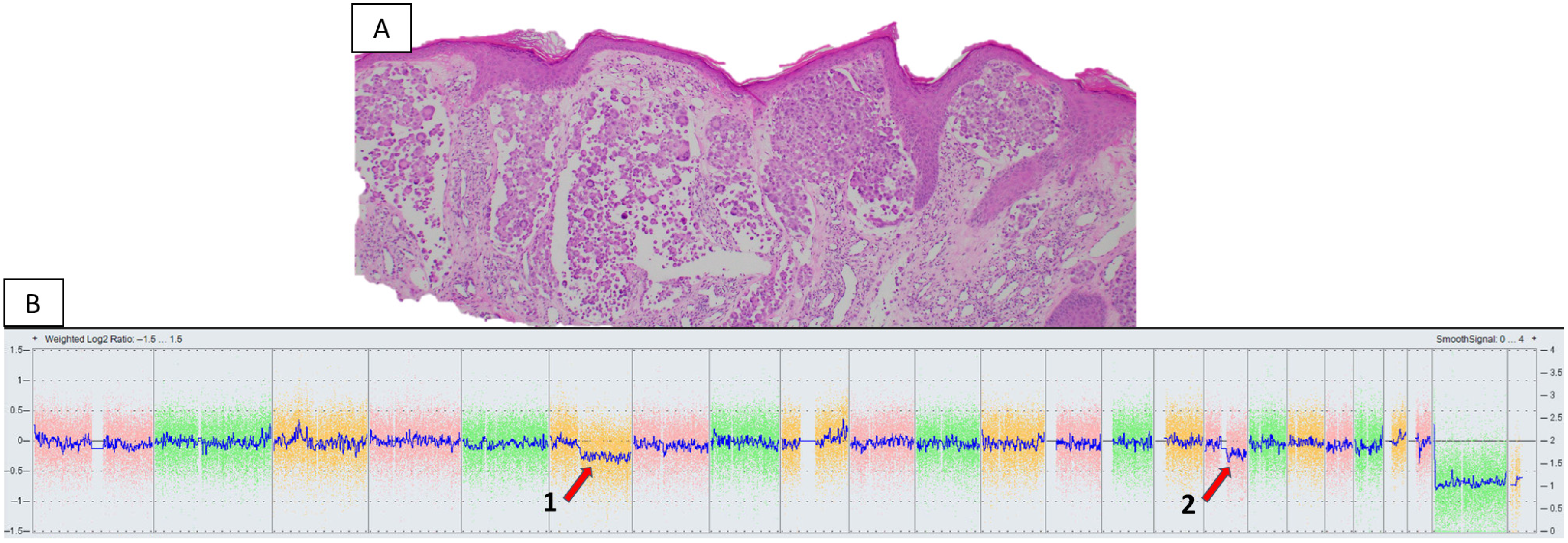 Genes 17 00331 g001 Genes 17 00331 g001
