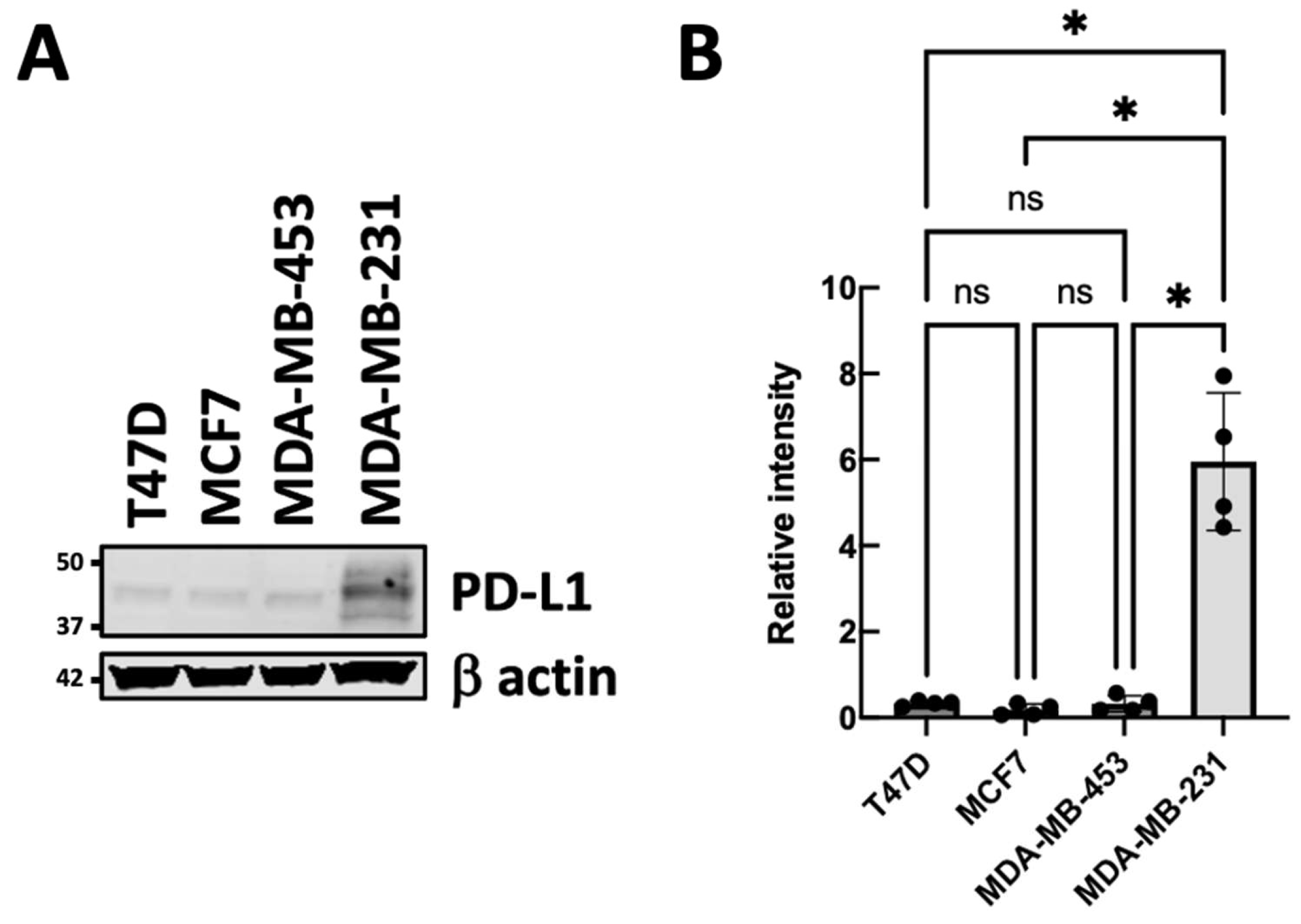 Genes 17 00339 g001 Genes 17 00339 g001