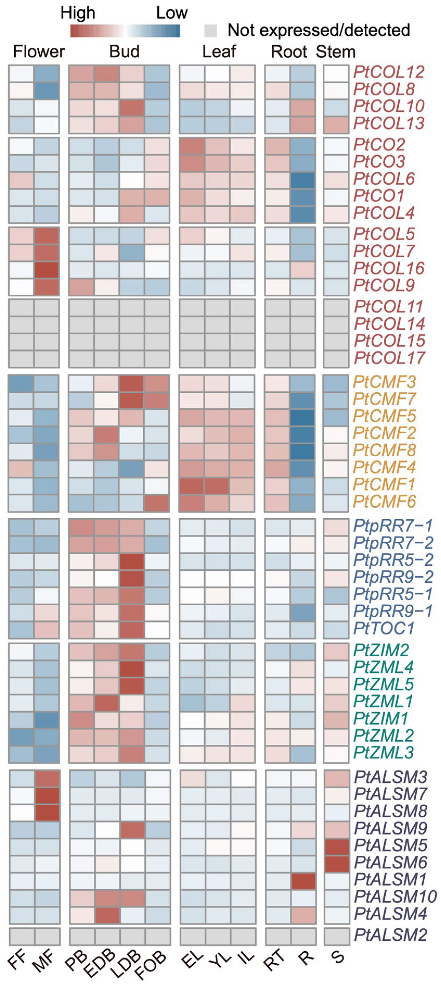 Genes 17 00346 g003 Genes 17 00346 g003