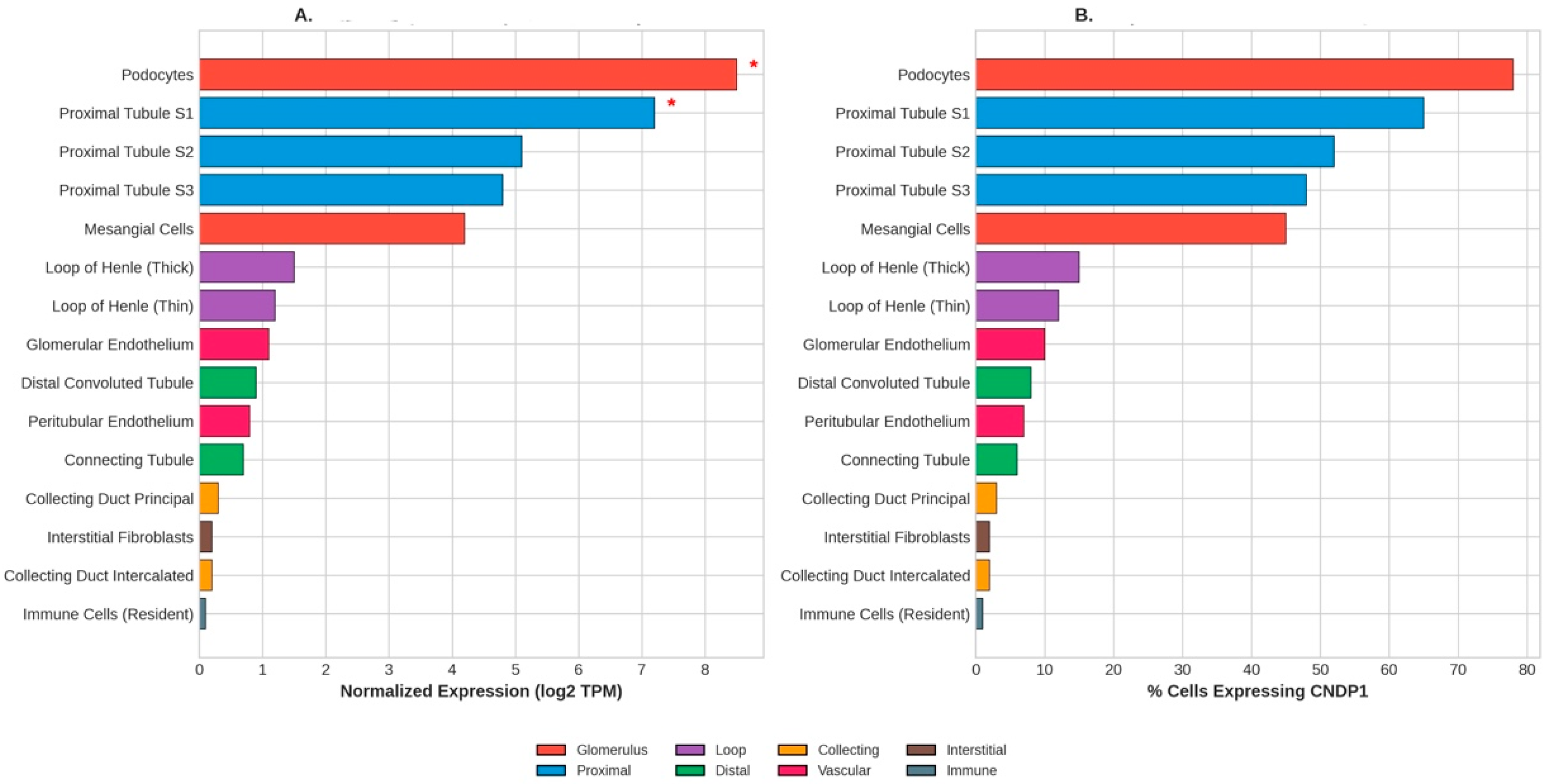 Genes 17 00367 g002