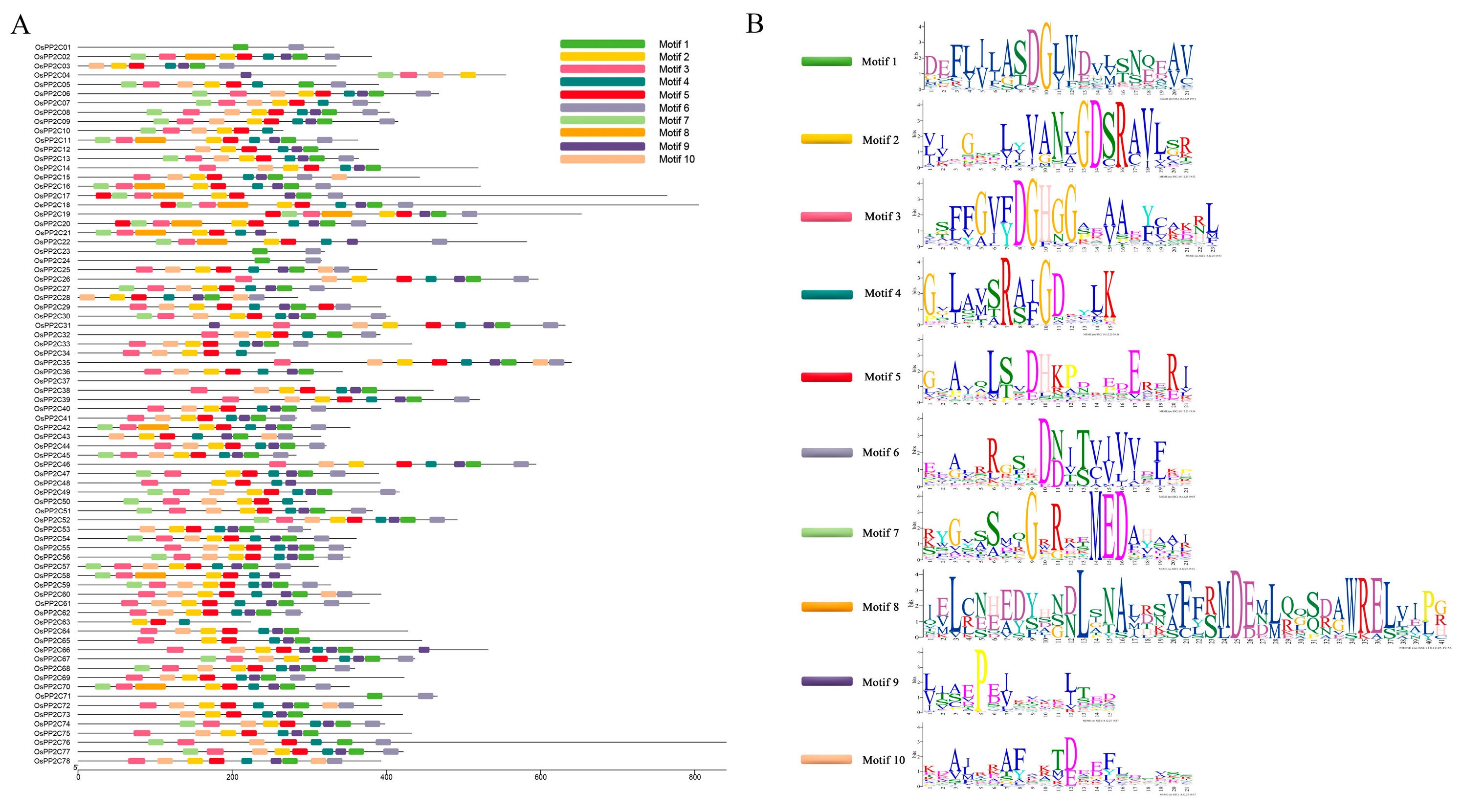 Genes 17 00374 g004 Genes 17 00374 g004