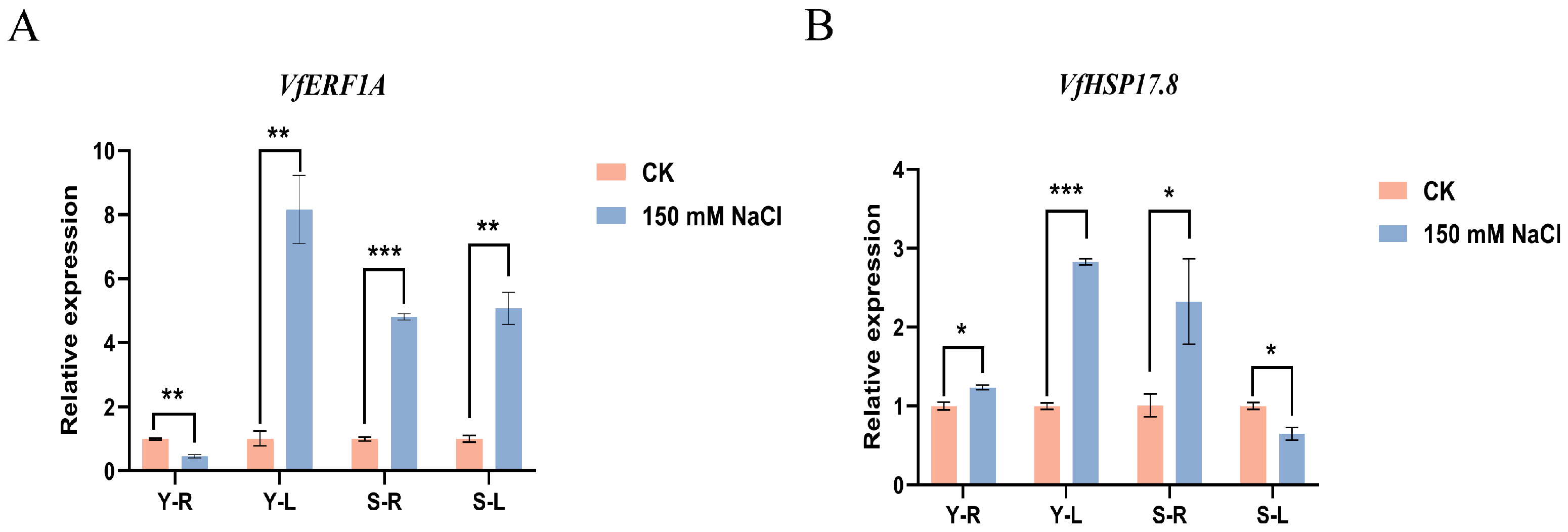 Genes 17 00381 g005