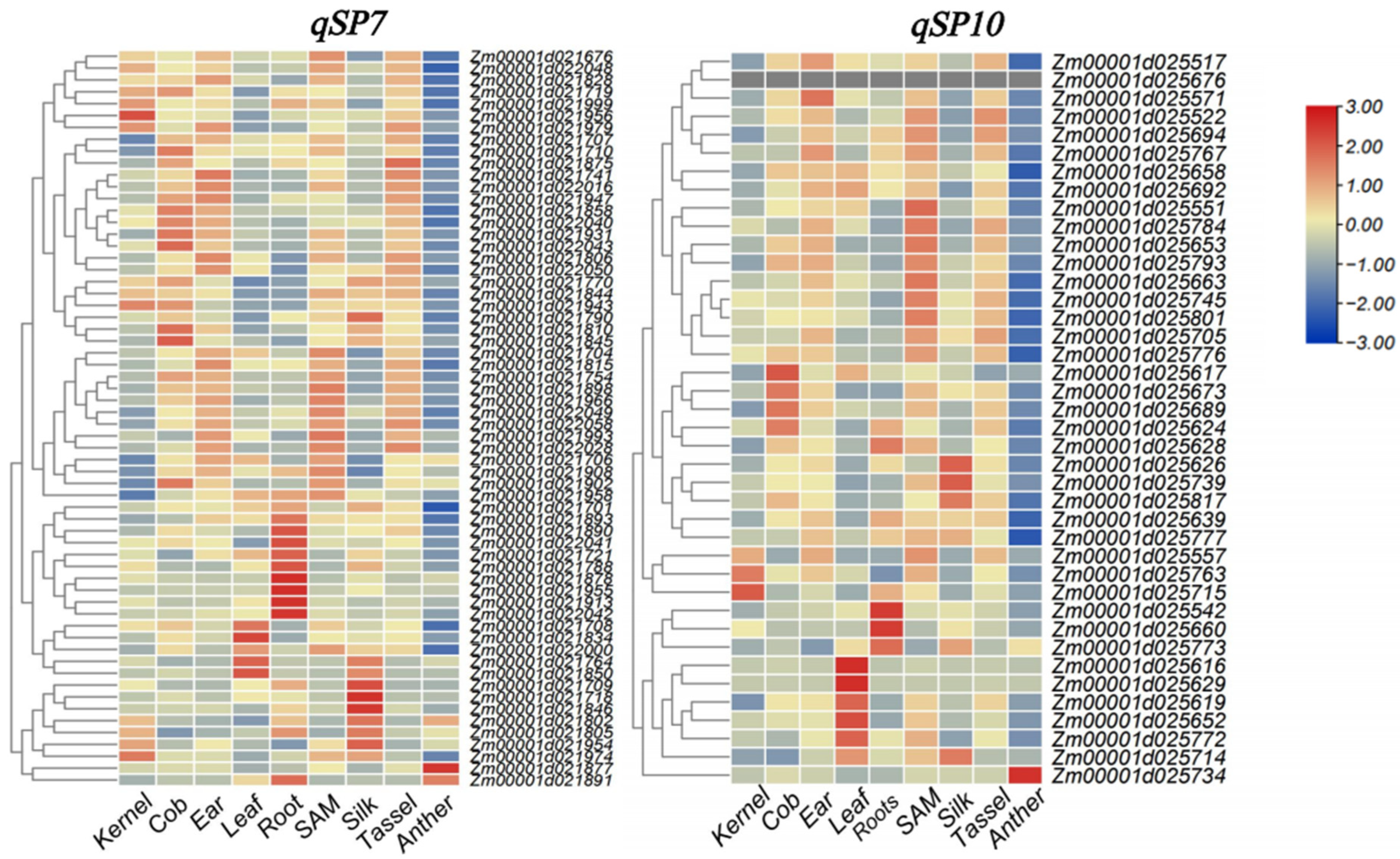 Genes 17 00384 g005 Genes 17 00384 g005