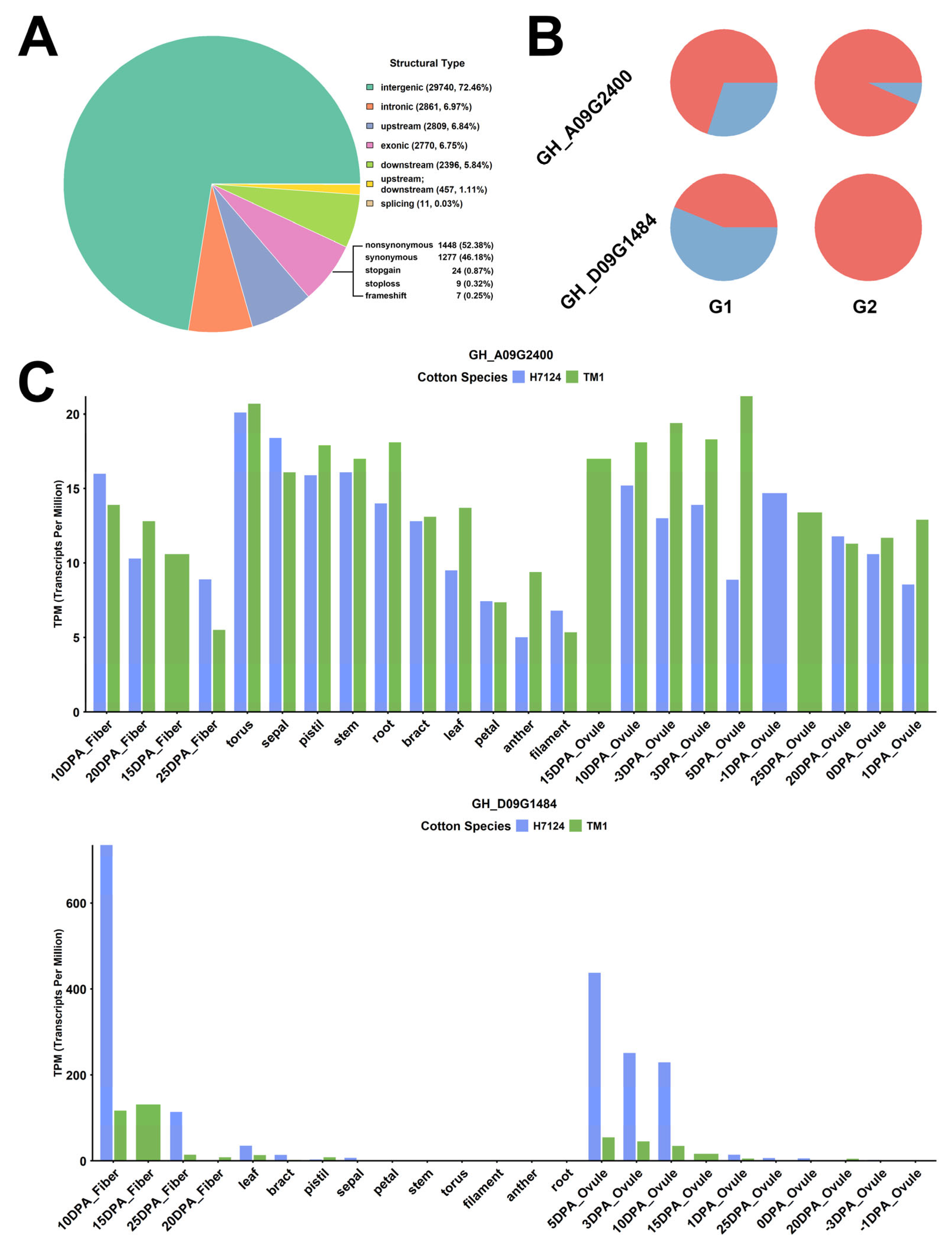 Genes 17 00388 g003 Genes 17 00388 g003