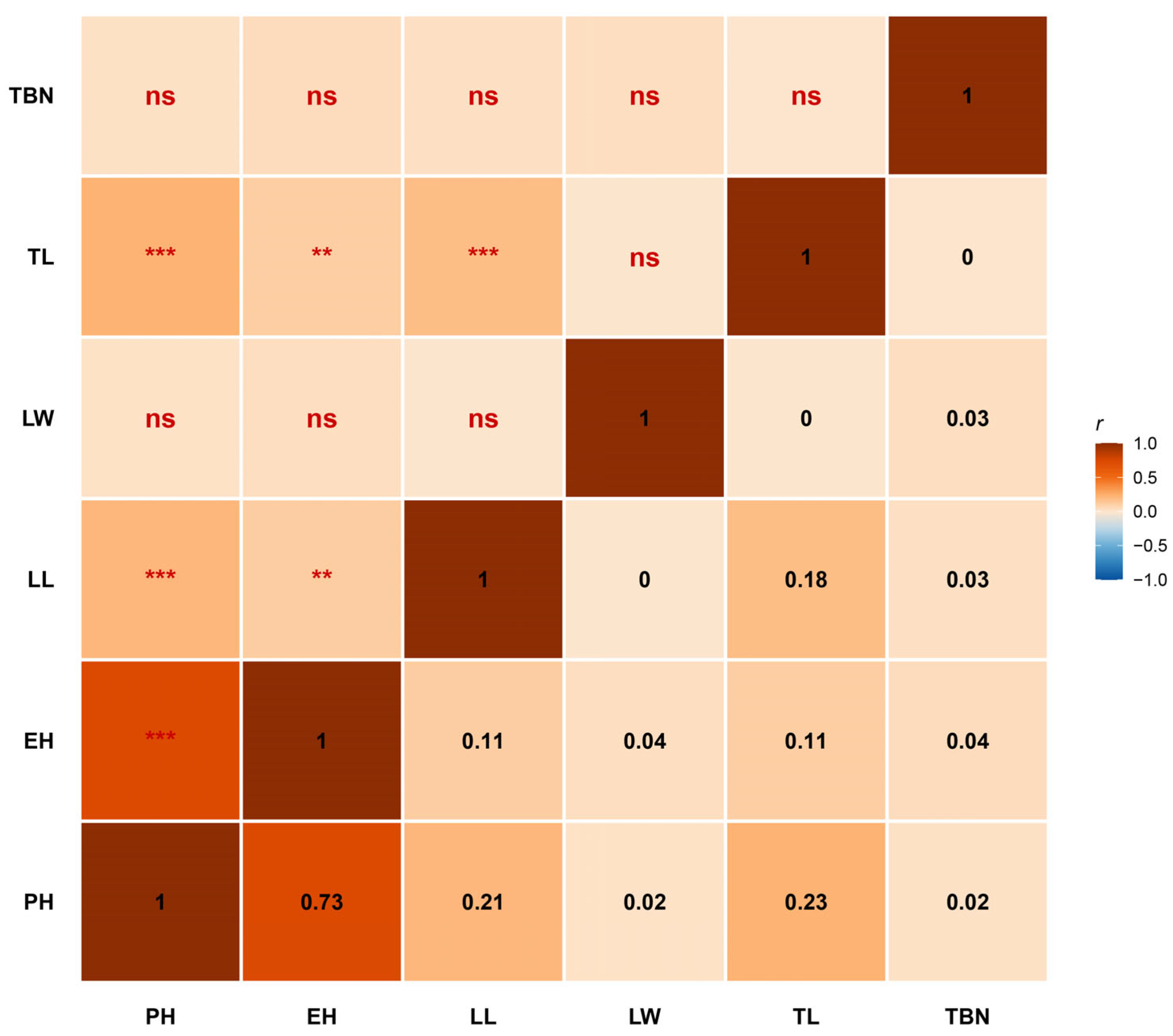 Dissection of the Genetic Basis of Maize Plant Architecture and ...
