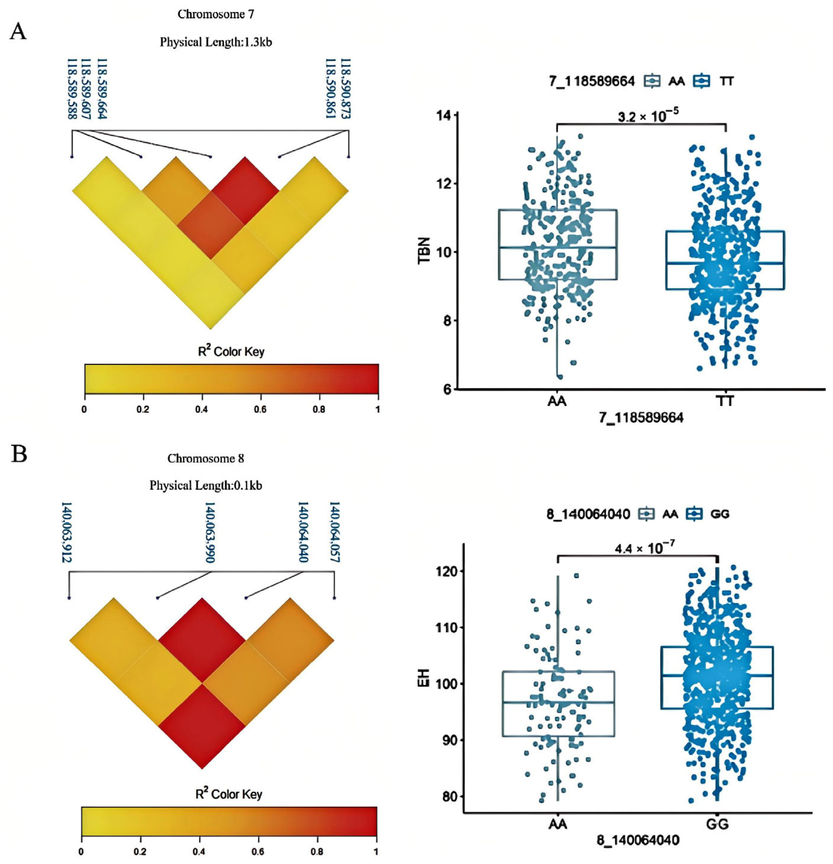 Dissection of the Genetic Basis of Maize Plant Architecture and ...