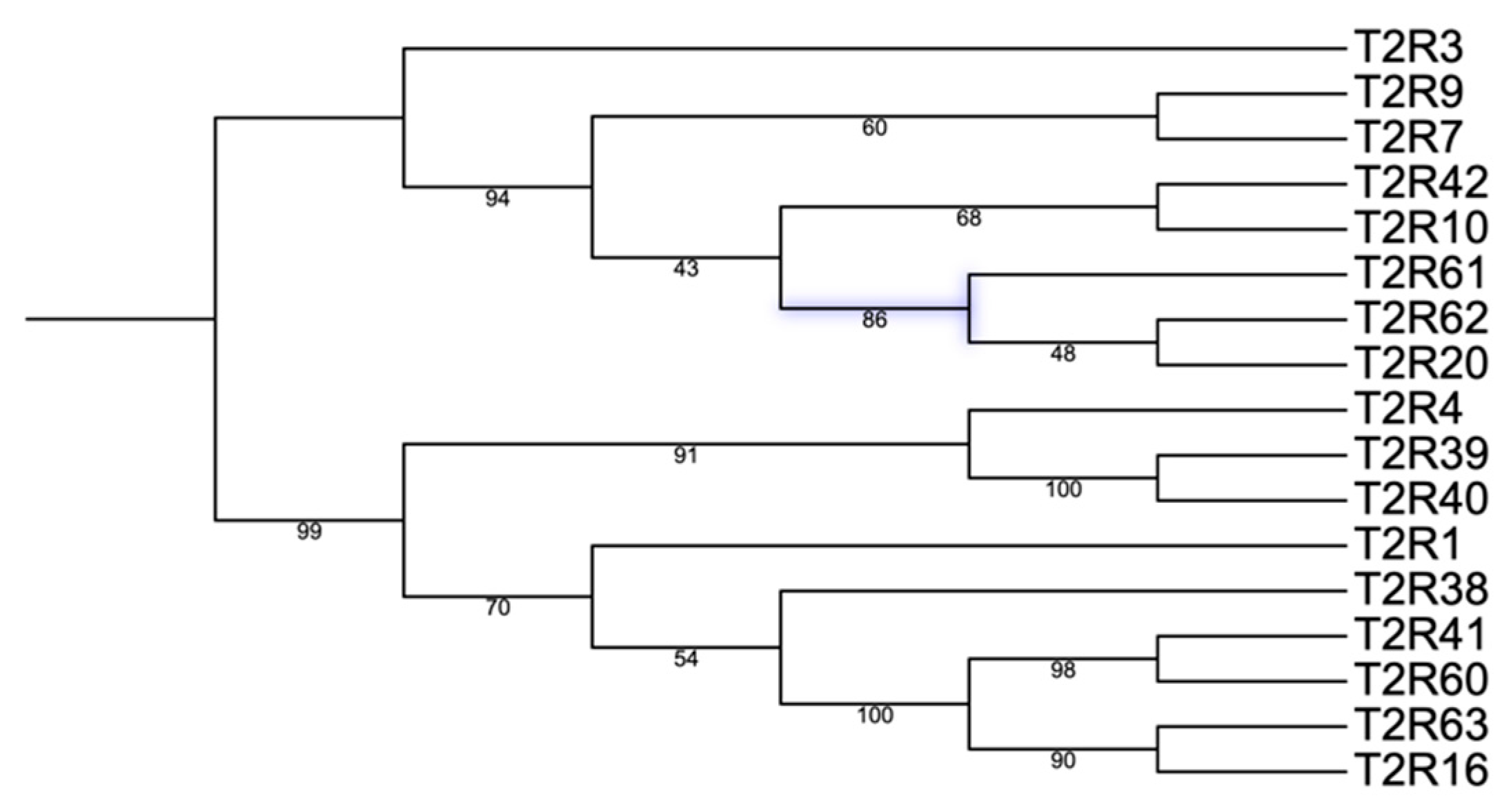 Genes 17 00400 g004 Genes 17 00400 g004