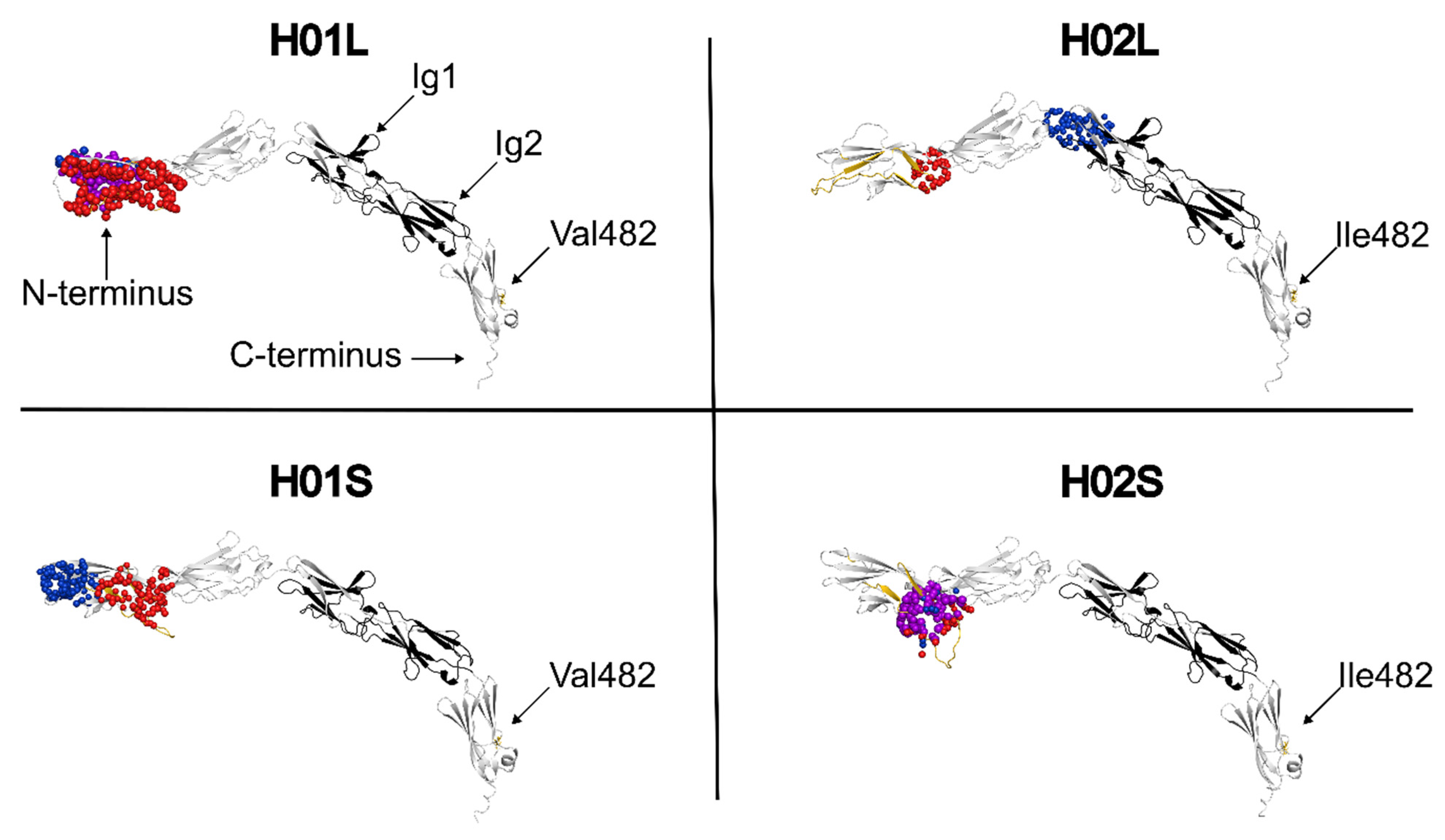 Genes 17 00412 g002 Genes 17 00412 g002