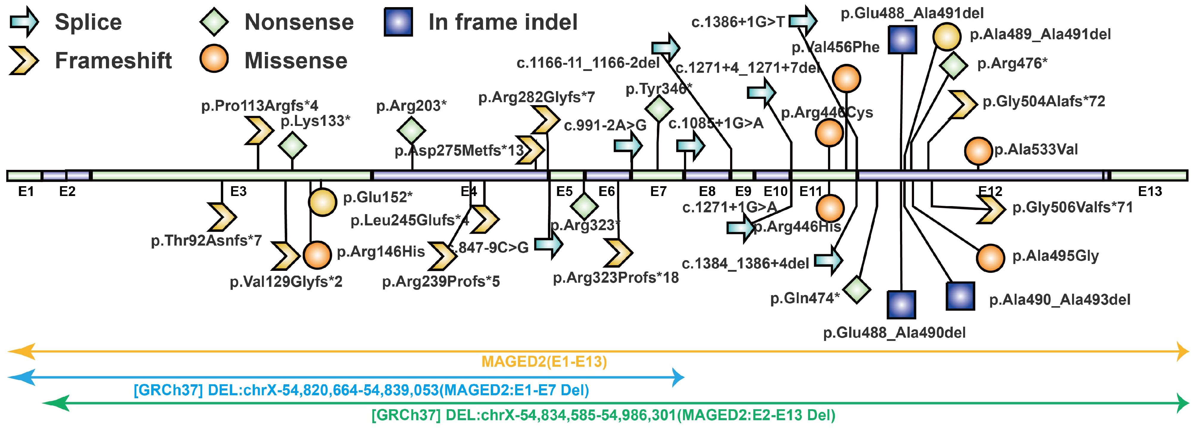 Genes 17 00424 g004 Genes 17 00424 g004
