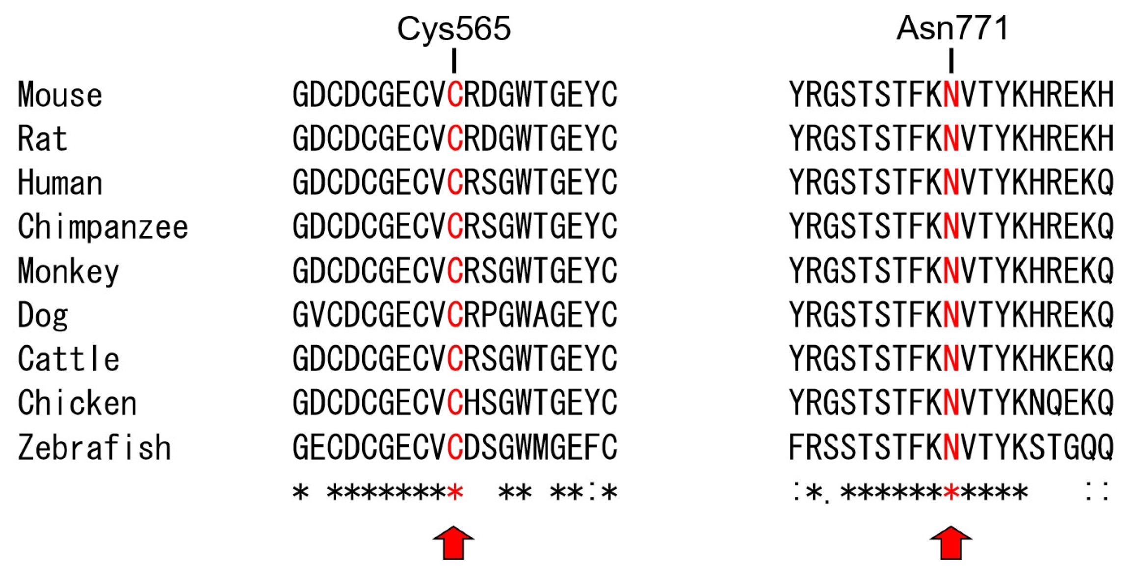 Genes 17 00431 g003 Genes 17 00431 g003