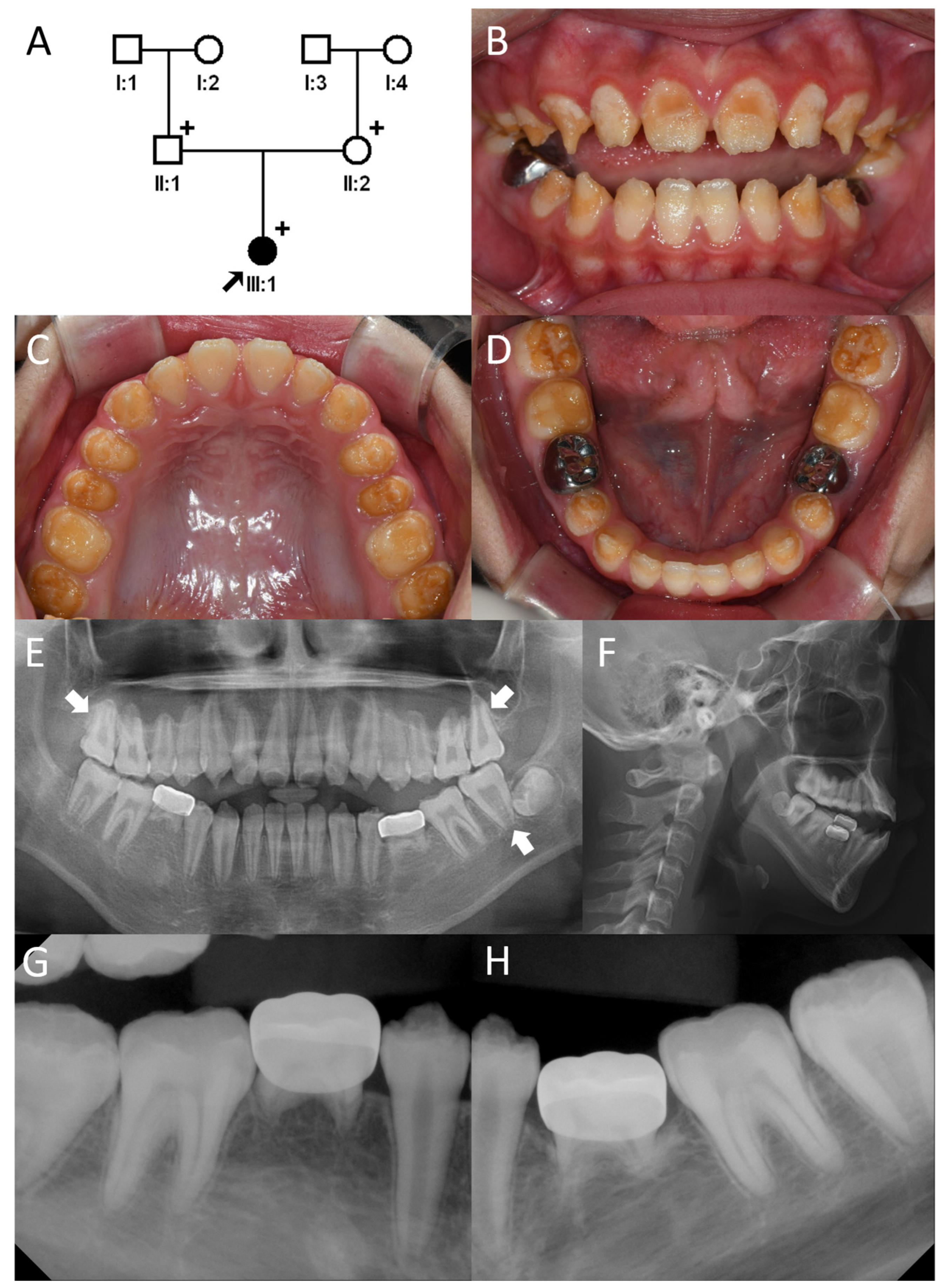 Genes 17 00431 g004 Genes 17 00431 g004