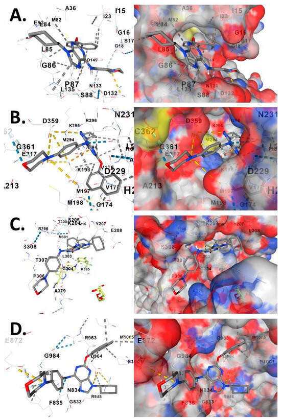 Computational Mapping of Hedgehog Pathway Kinase Module Predicts