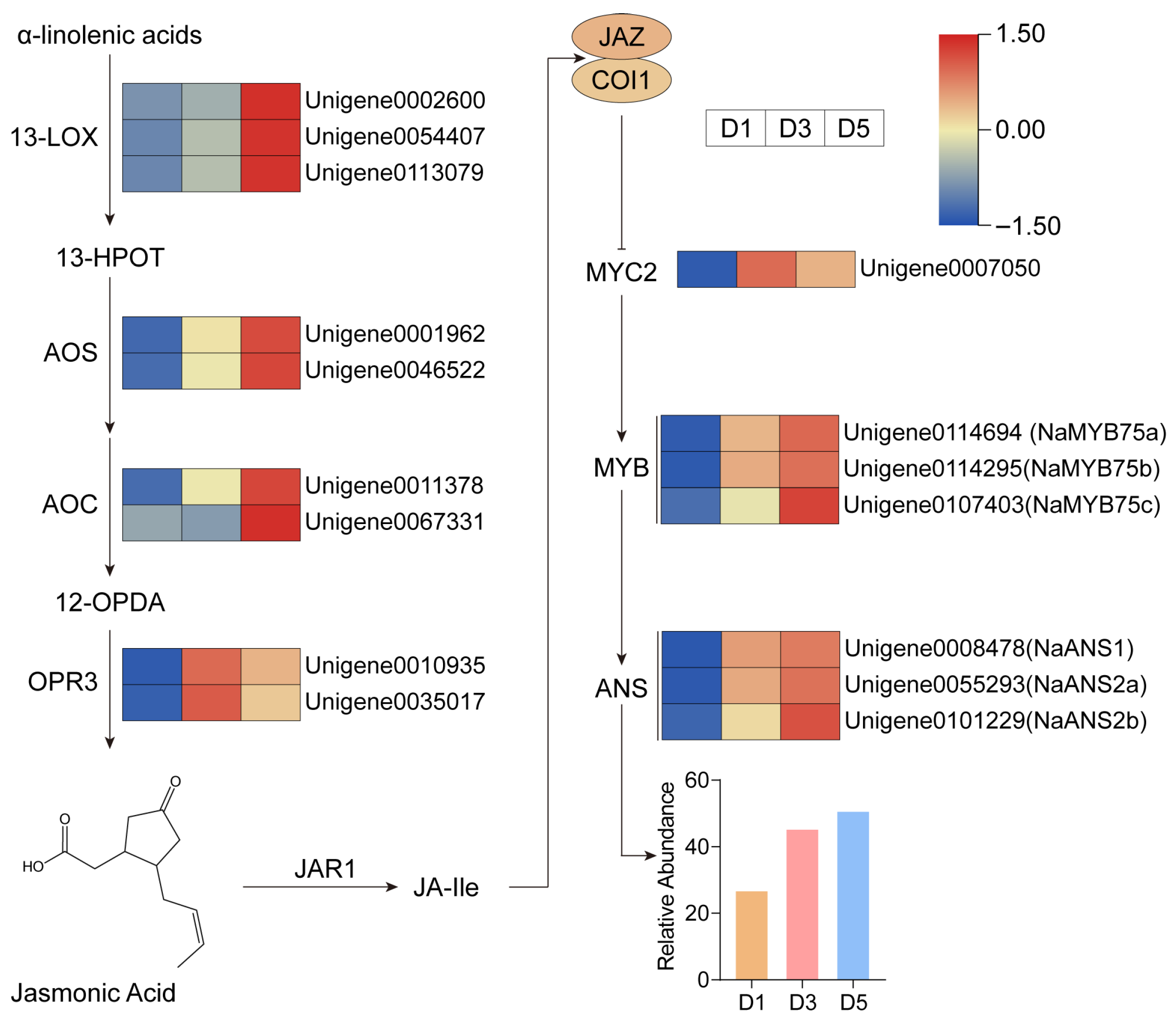 Genes 17 00442 g009 Genes 17 00442 g009