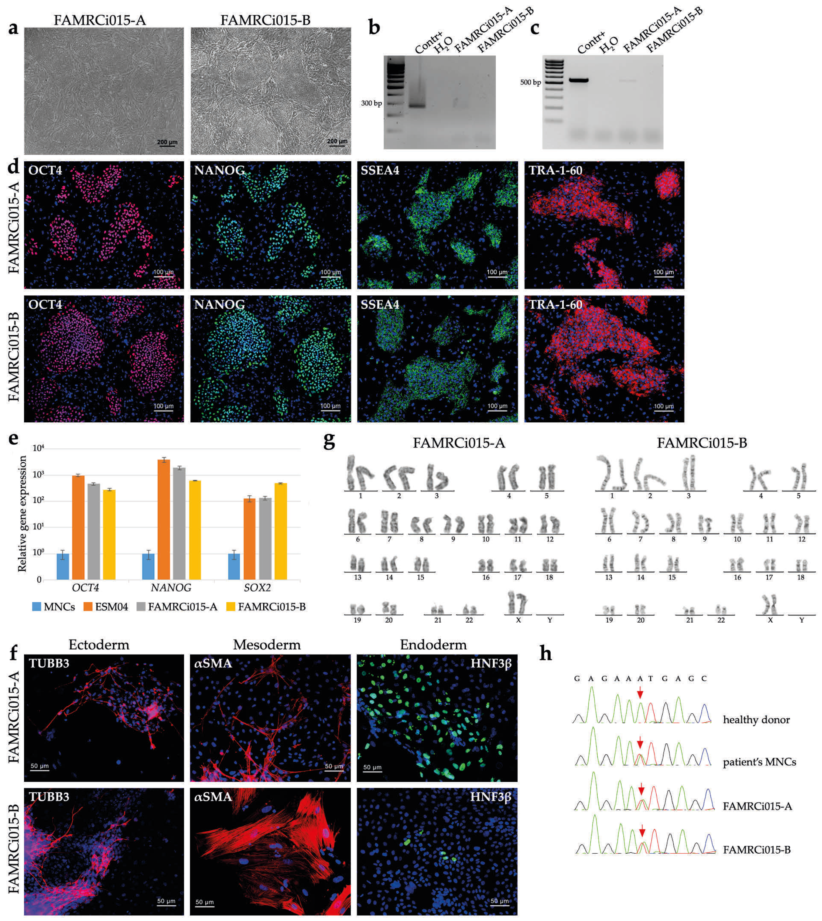 Genes 17 00456 g002