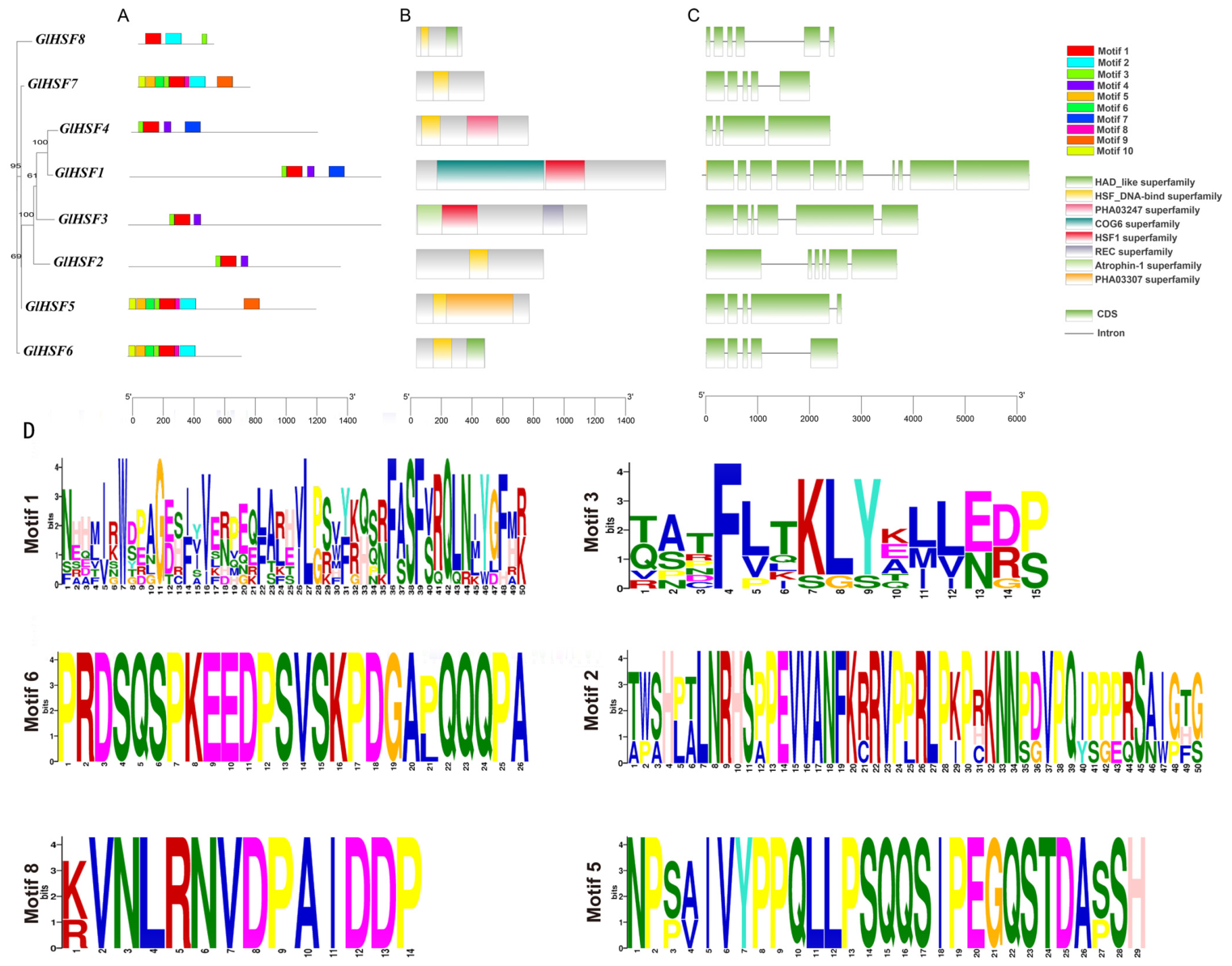 Genes 17 00473 g003 Genes 17 00473 g003