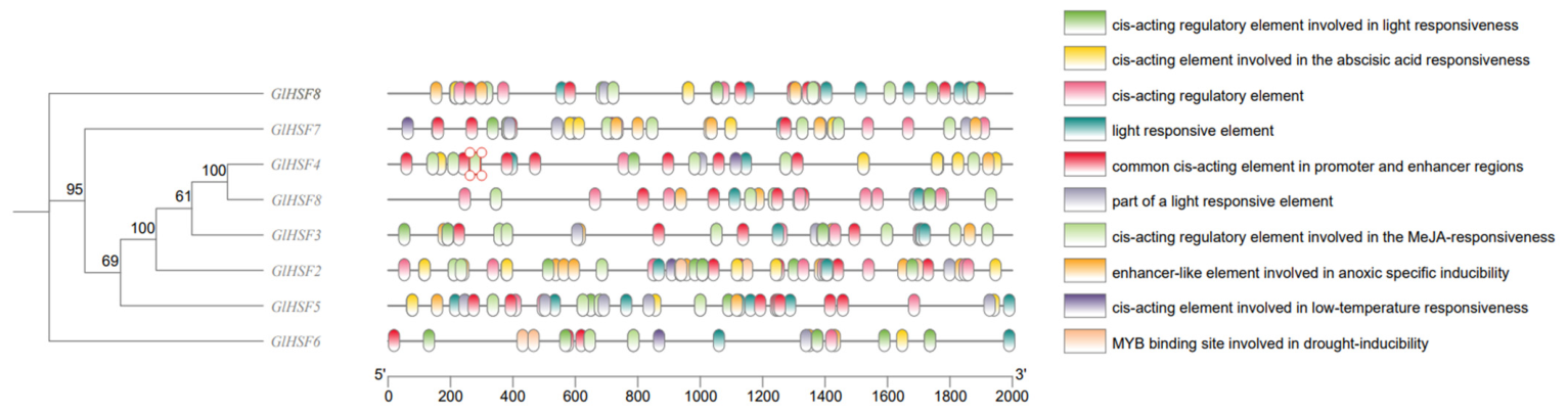 Genes 17 00473 g005 Genes 17 00473 g005