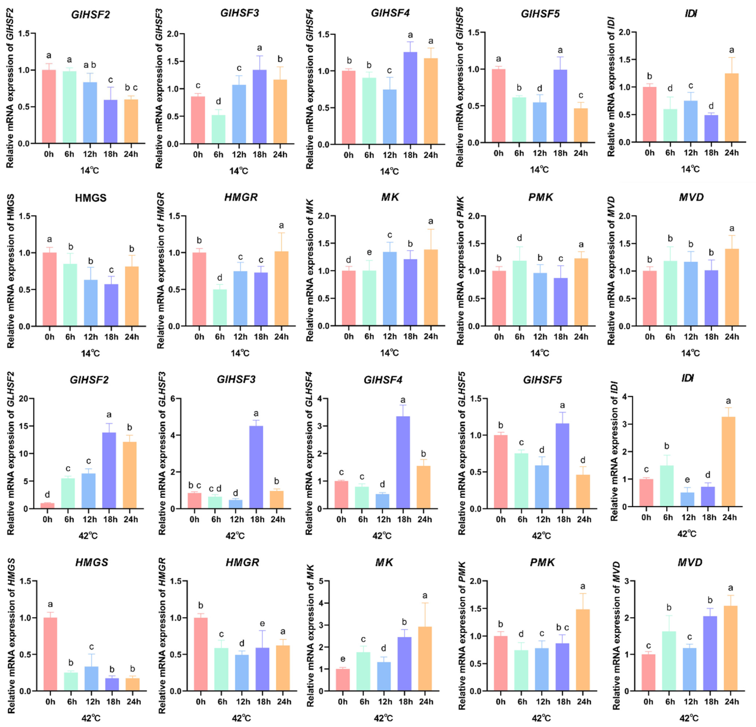 Genes 17 00473 g007 Genes 17 00473 g007