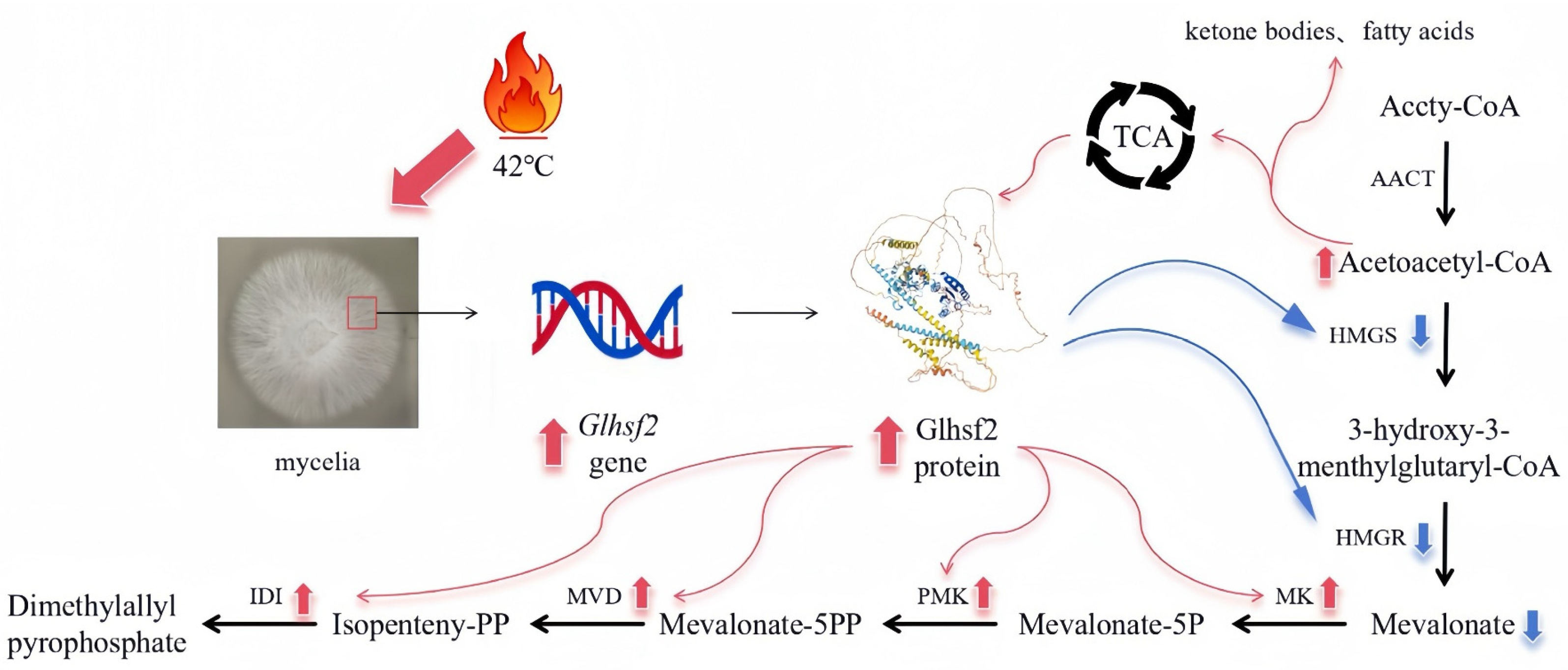 Genes 17 00473 g009 Genes 17 00473 g009