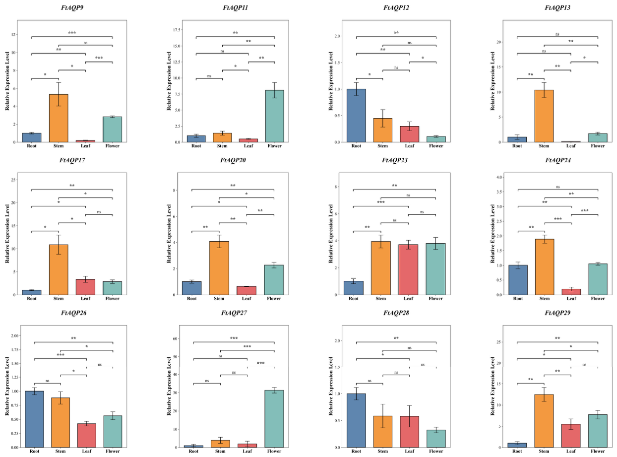 Genes 17 00479 g008