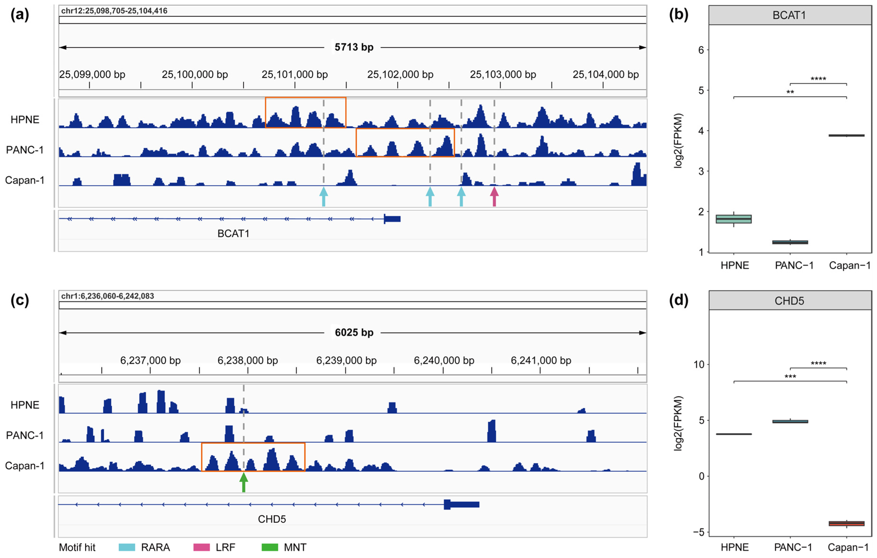 Genes 17 00480 g006