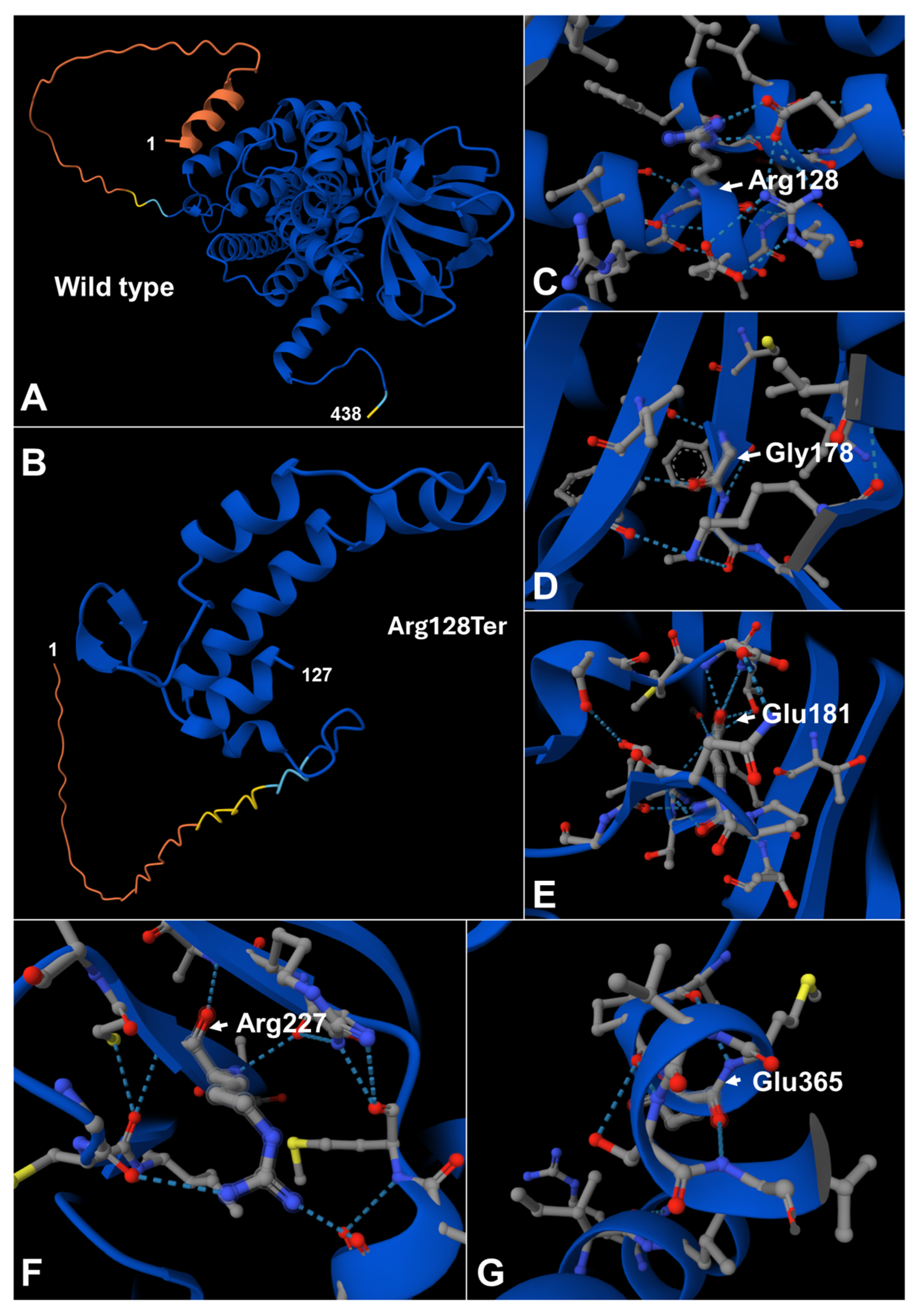 Genes 17 00481 g003 Genes 17 00481 g003