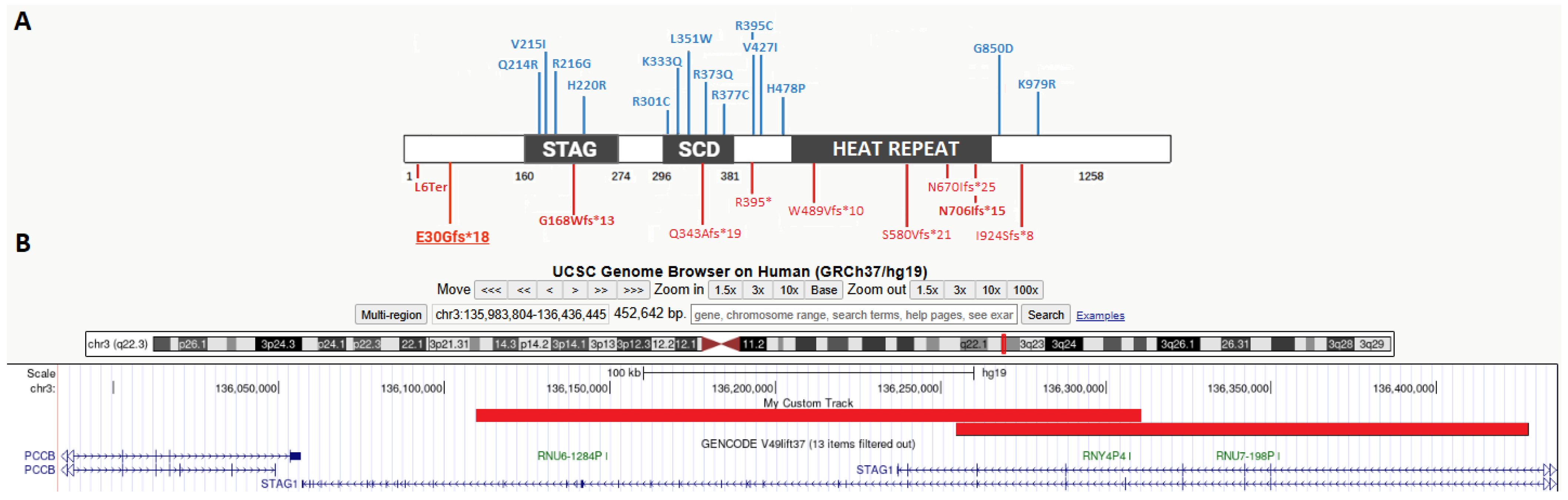Genes 17 00483 g002 Genes 17 00483 g002