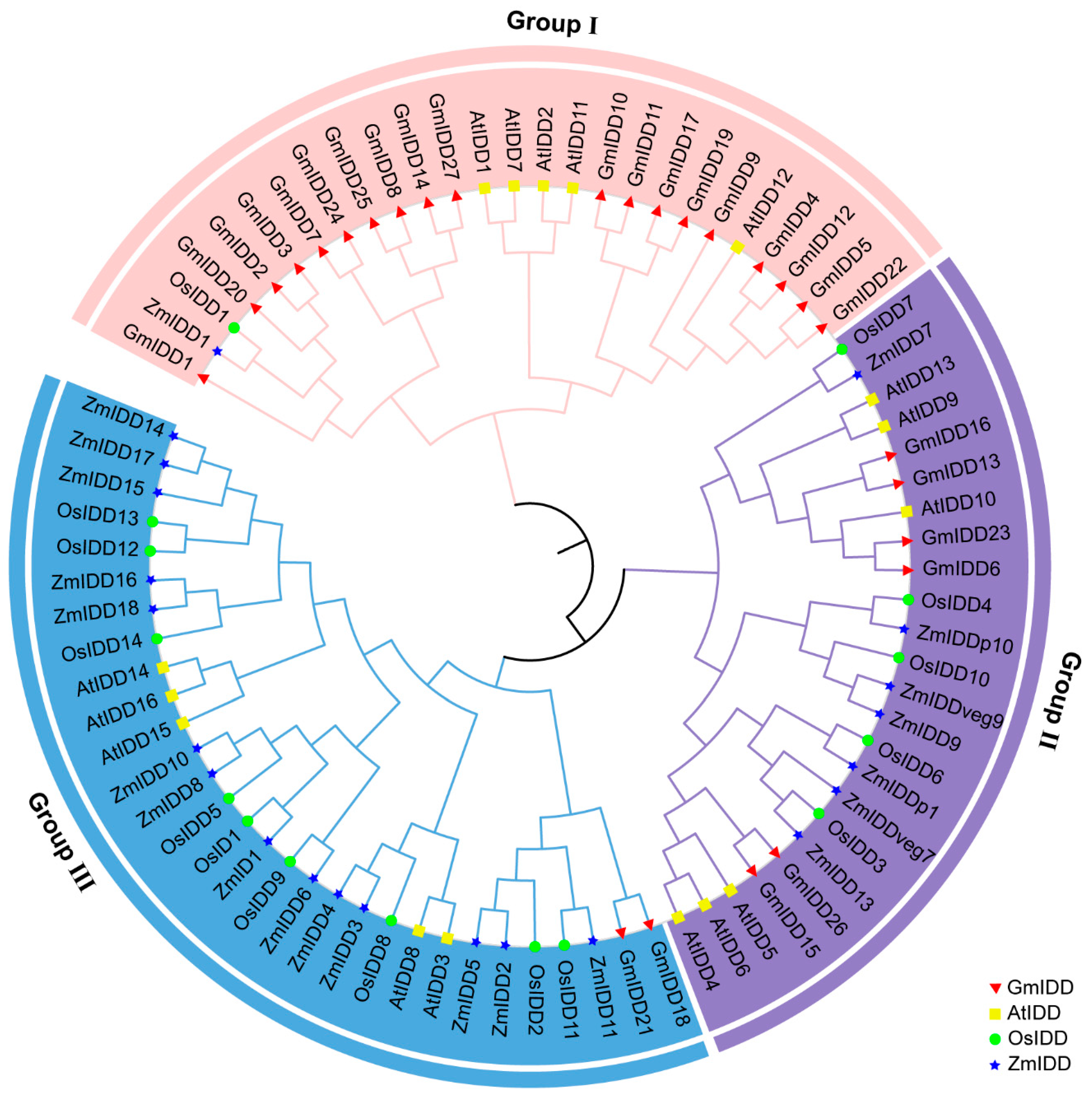 Genes 17 00489 g004 Genes 17 00489 g004