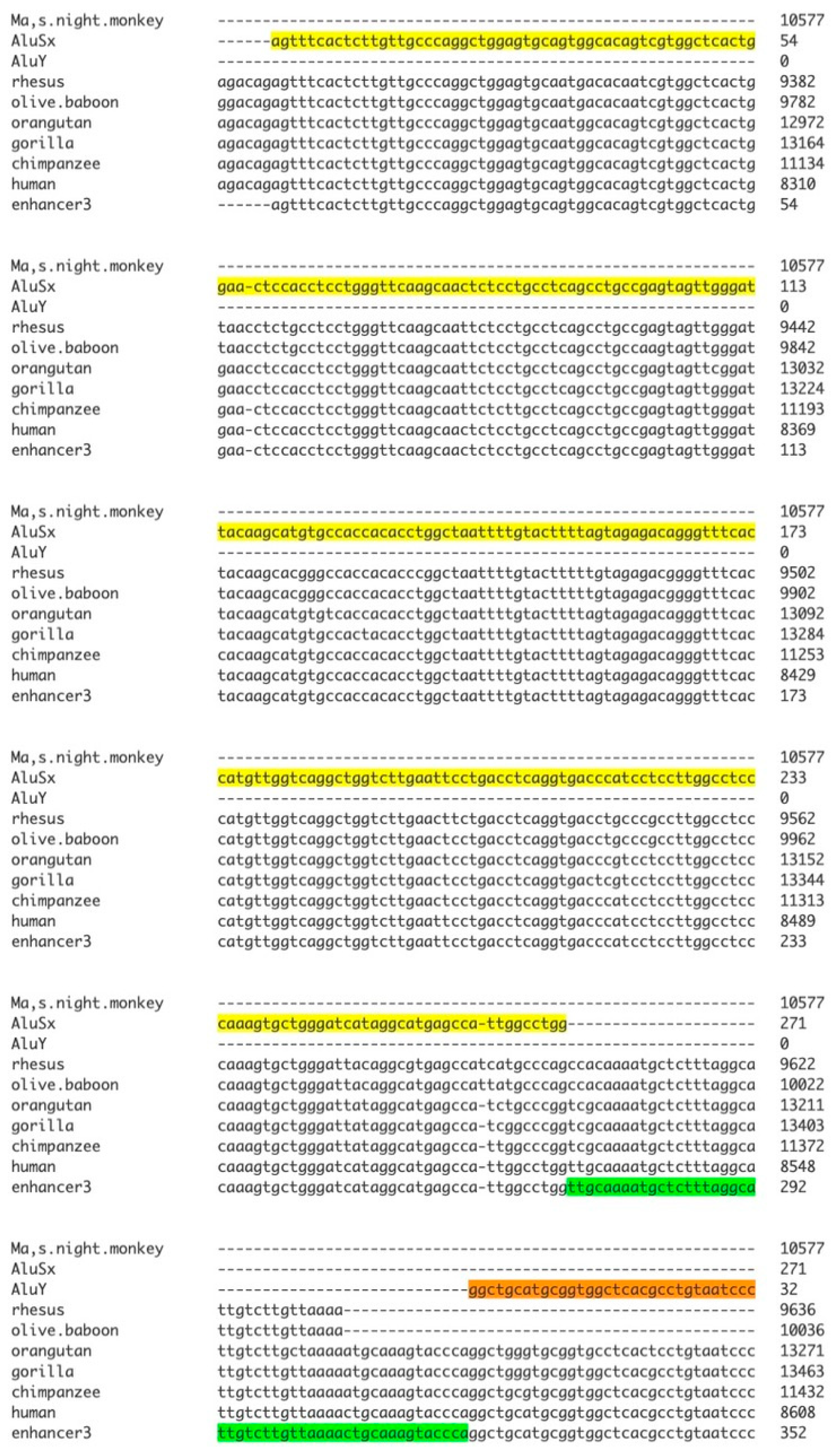 Genes 17 00519 g010 Genes 17 00519 g010