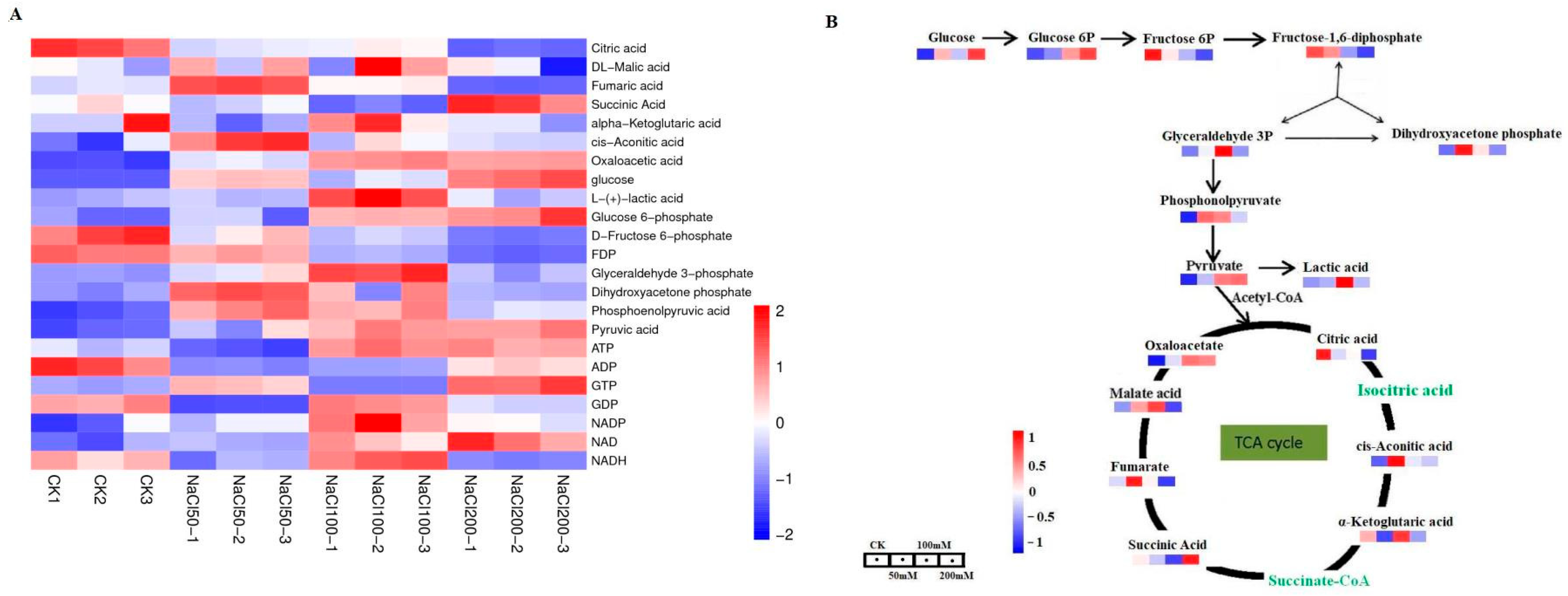 Genes 17 00523 g002