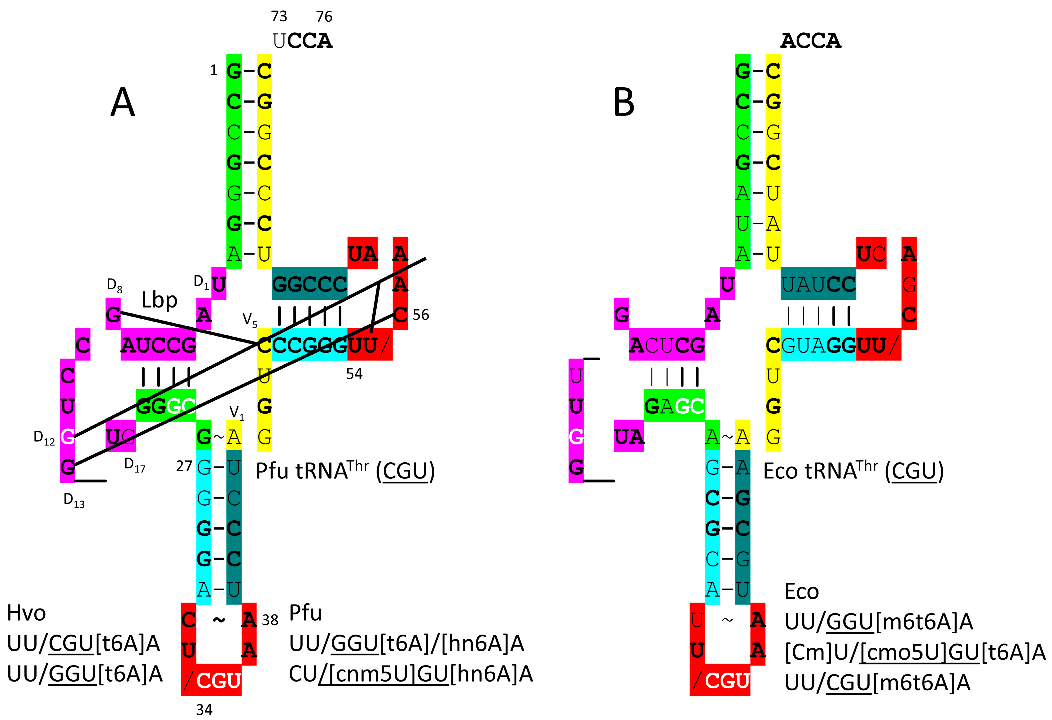 Genes 17 00544 g020 Genes 17 00544 g020
