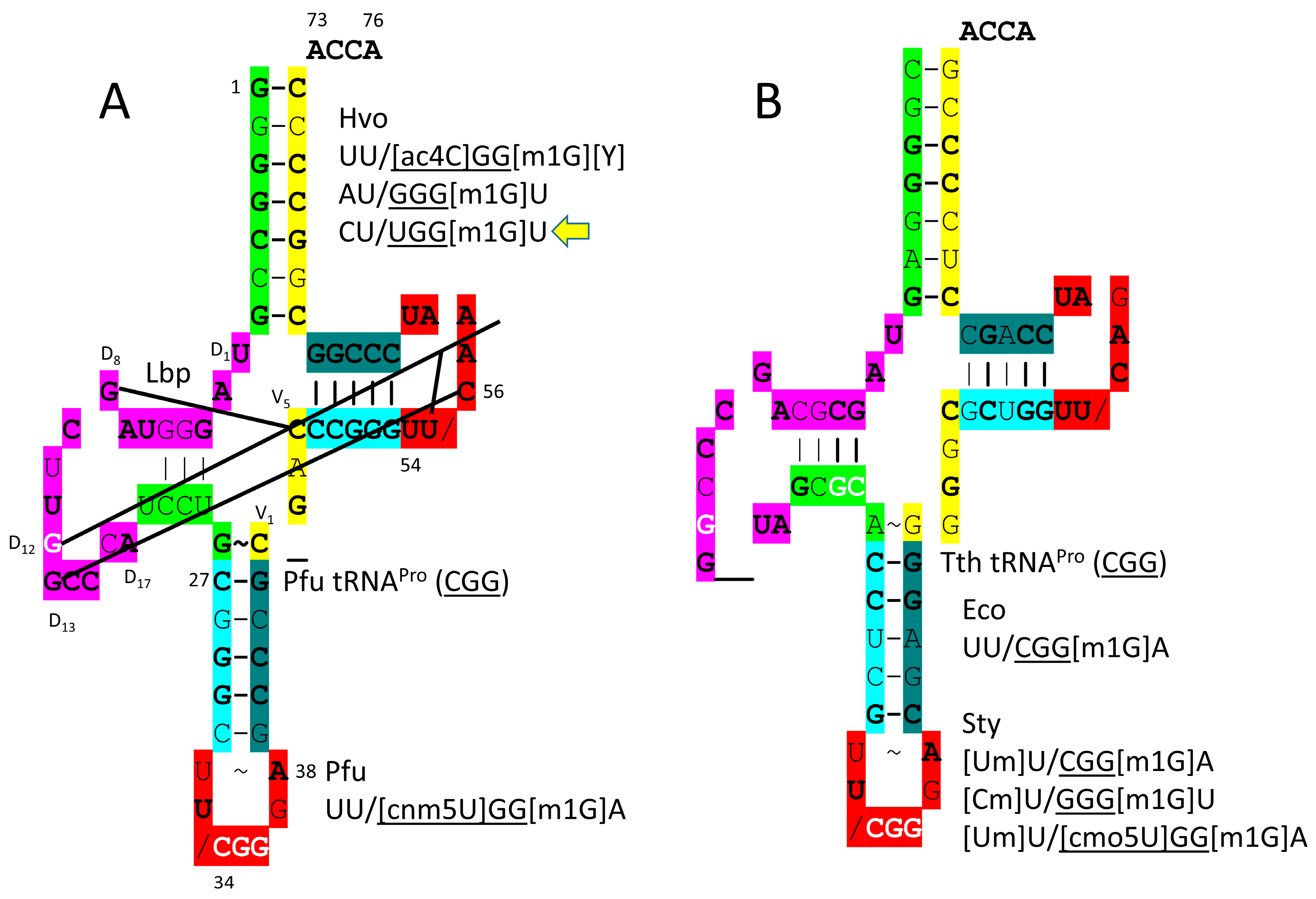 Genes 17 00544 g022 Genes 17 00544 g022